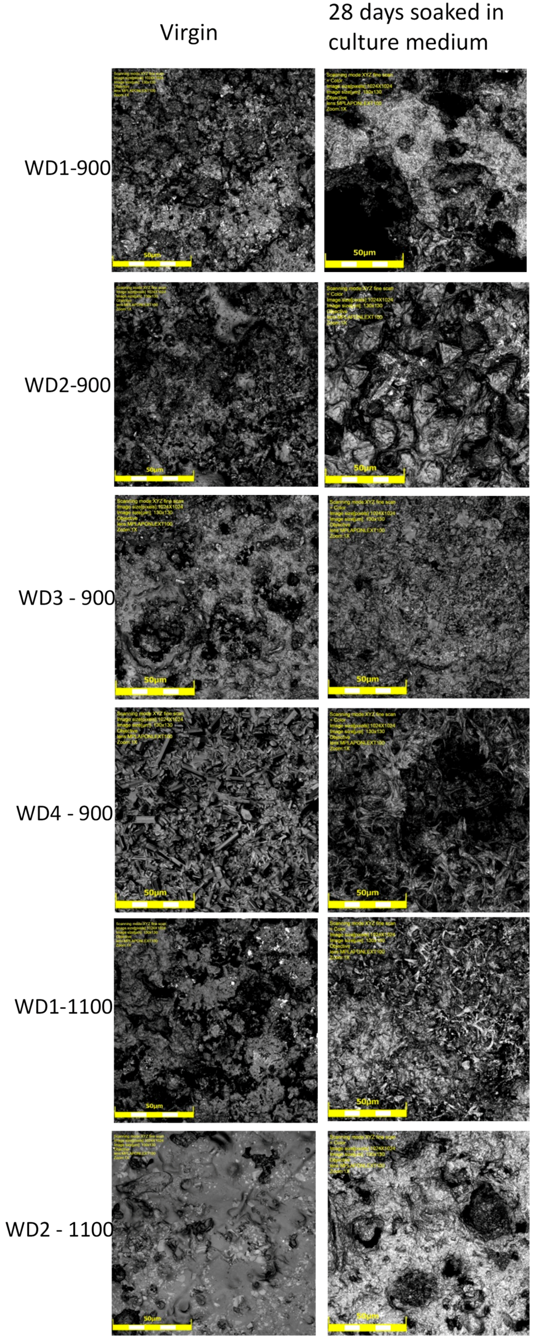 Materials 10 00425 g007