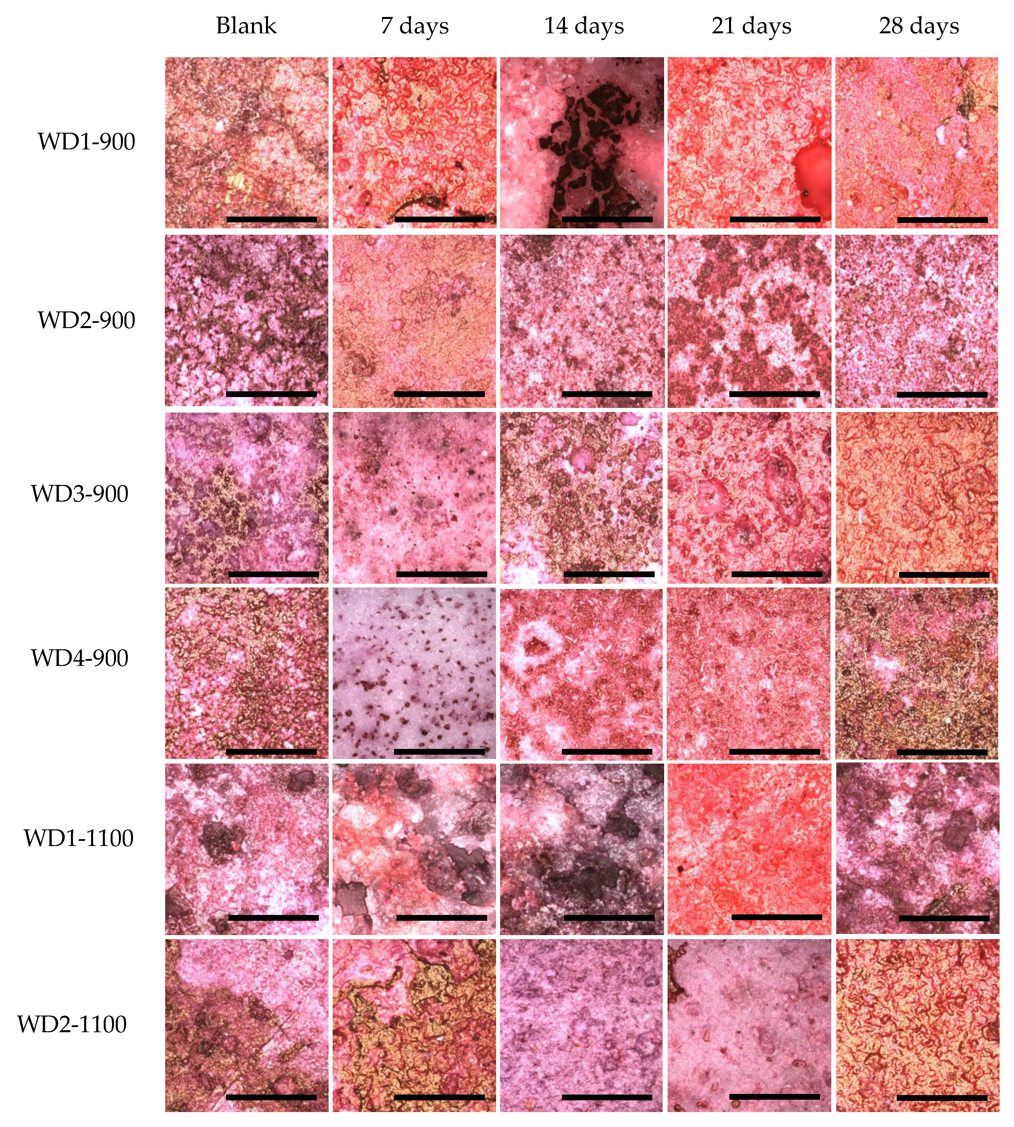 Materials 10 00425 g009