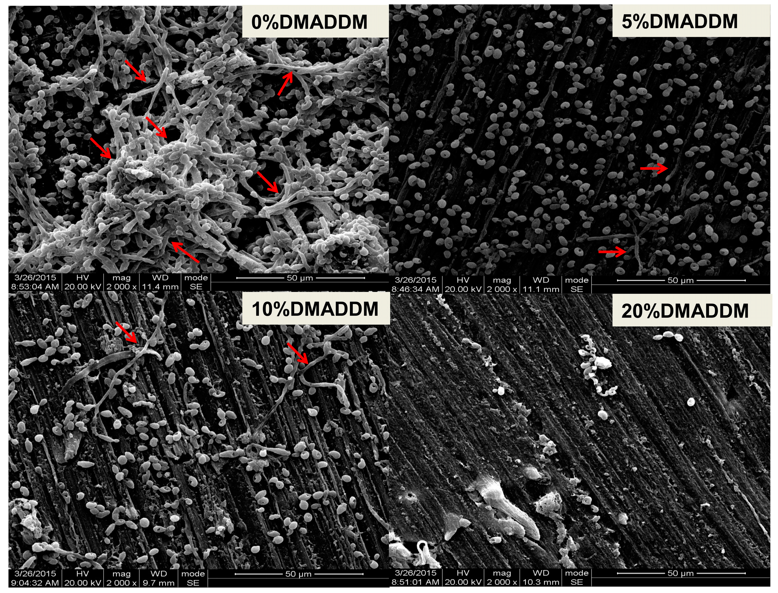 Materials 10 00431 g007