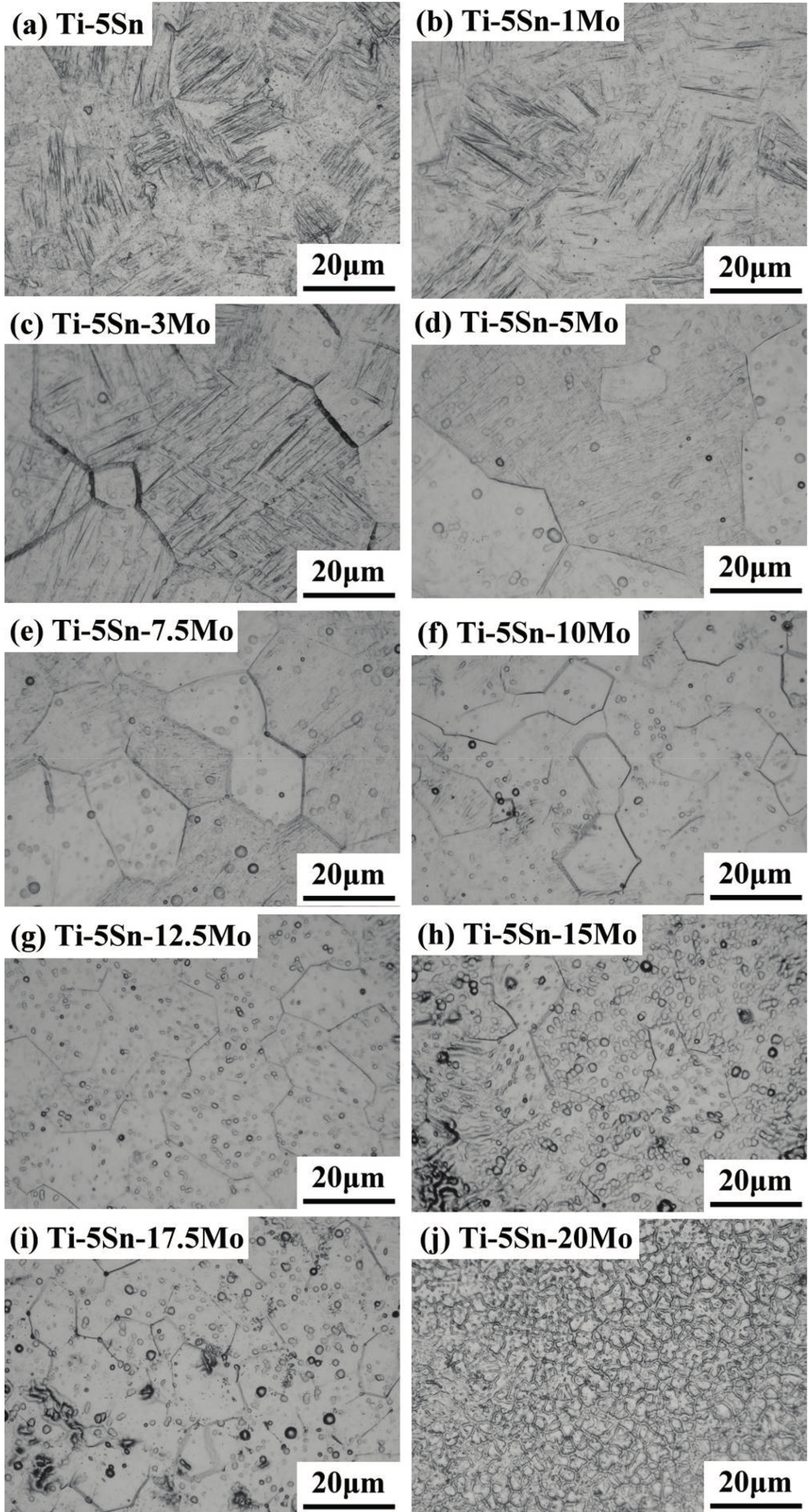 Materials 10 00458 g002 Materials 10 00458 g002