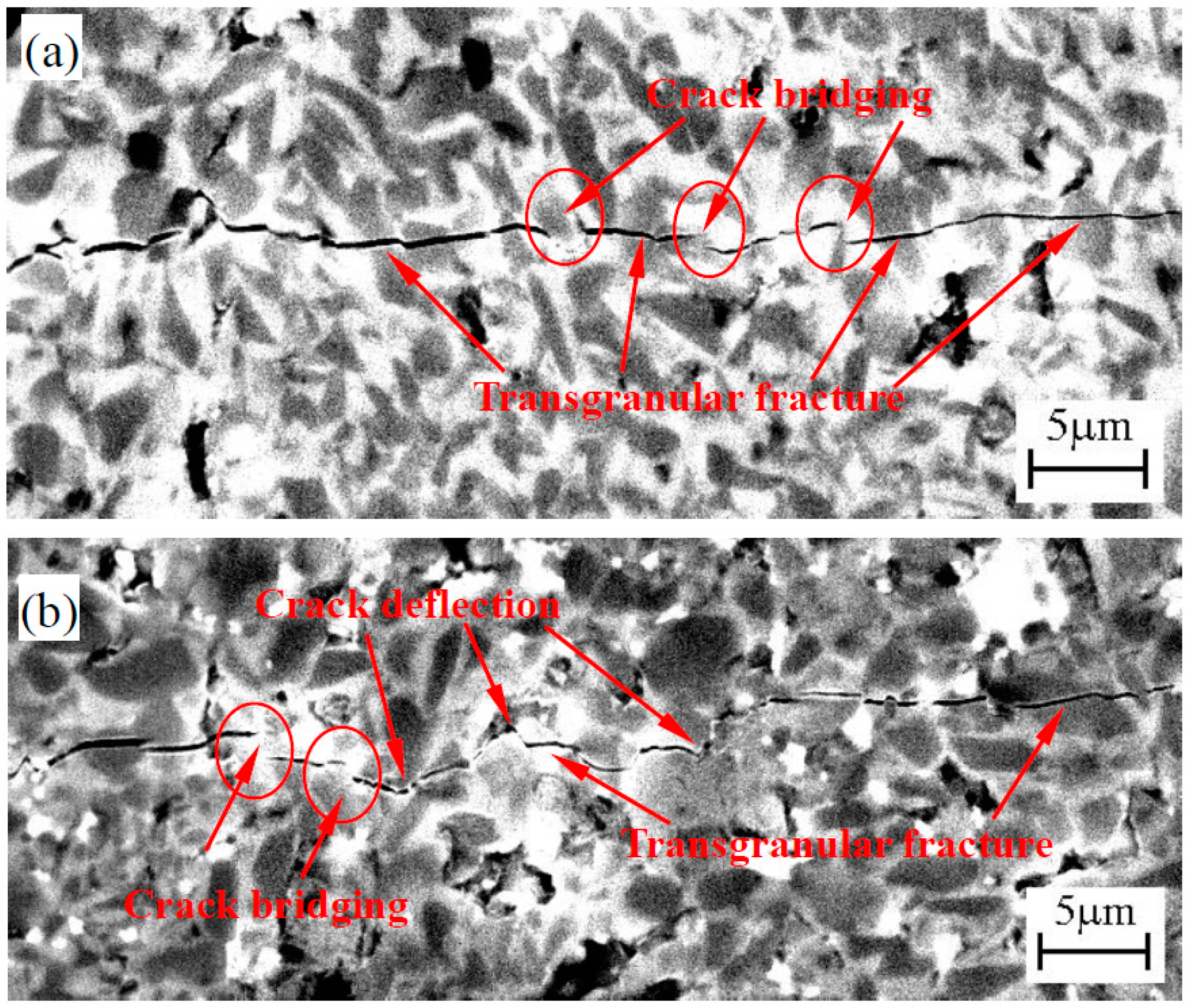 Materials 10 00461 g007