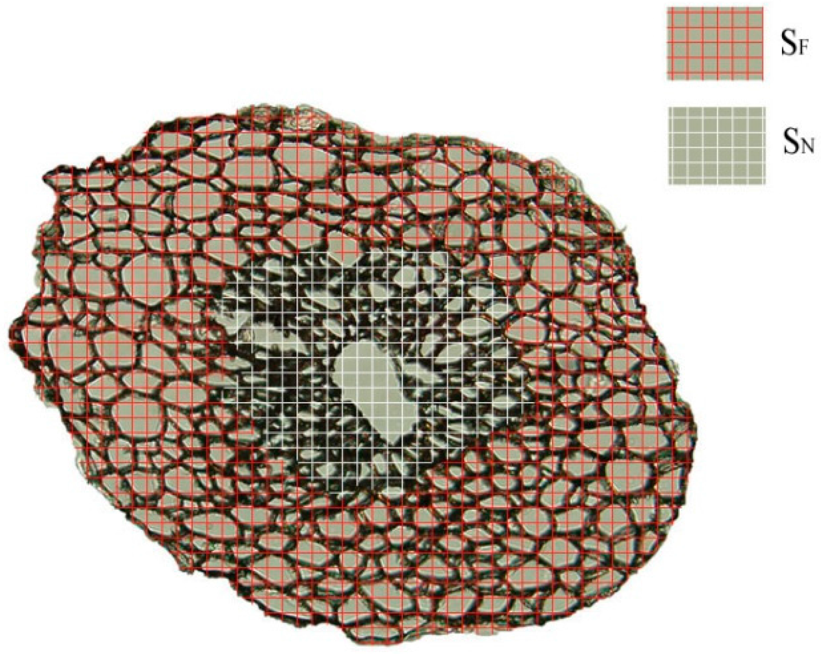 Materials 10 00479 g005