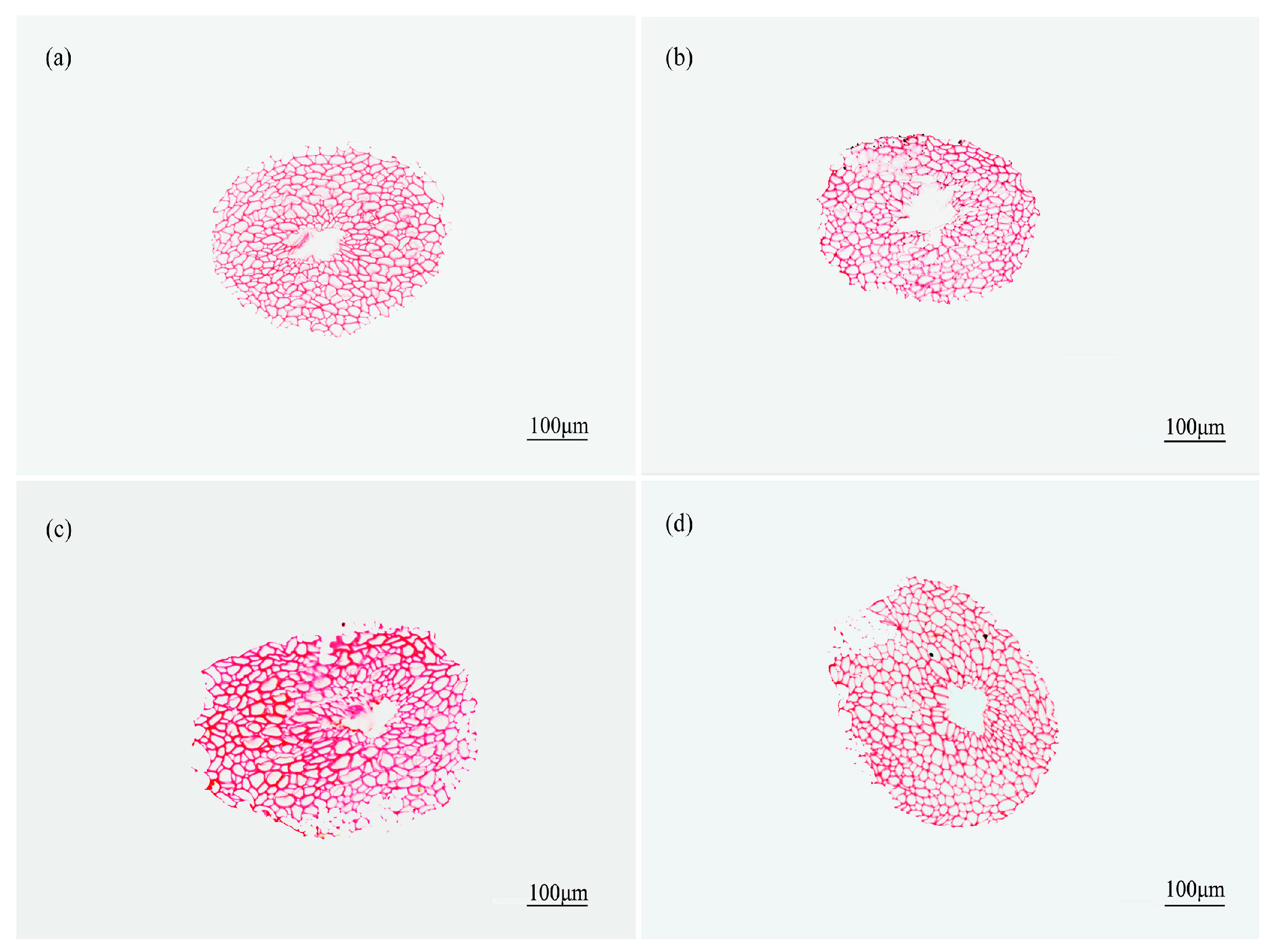 Materials 10 00479 g010