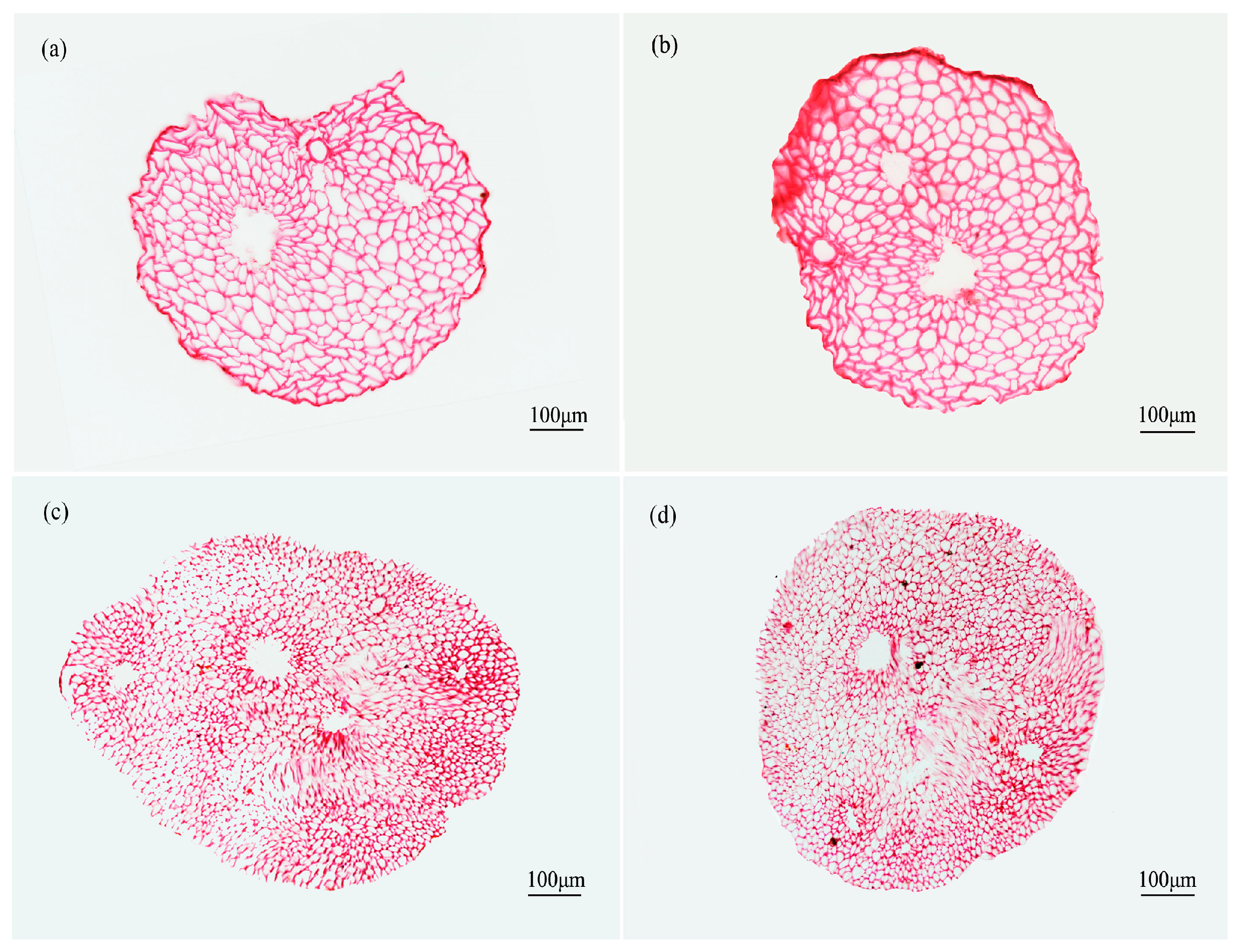 Materials 10 00479 g011