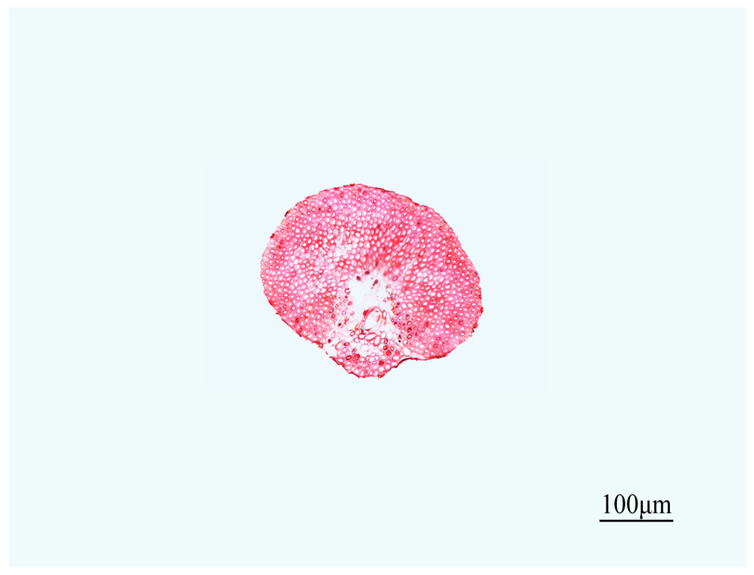 Materials 10 00479 g012