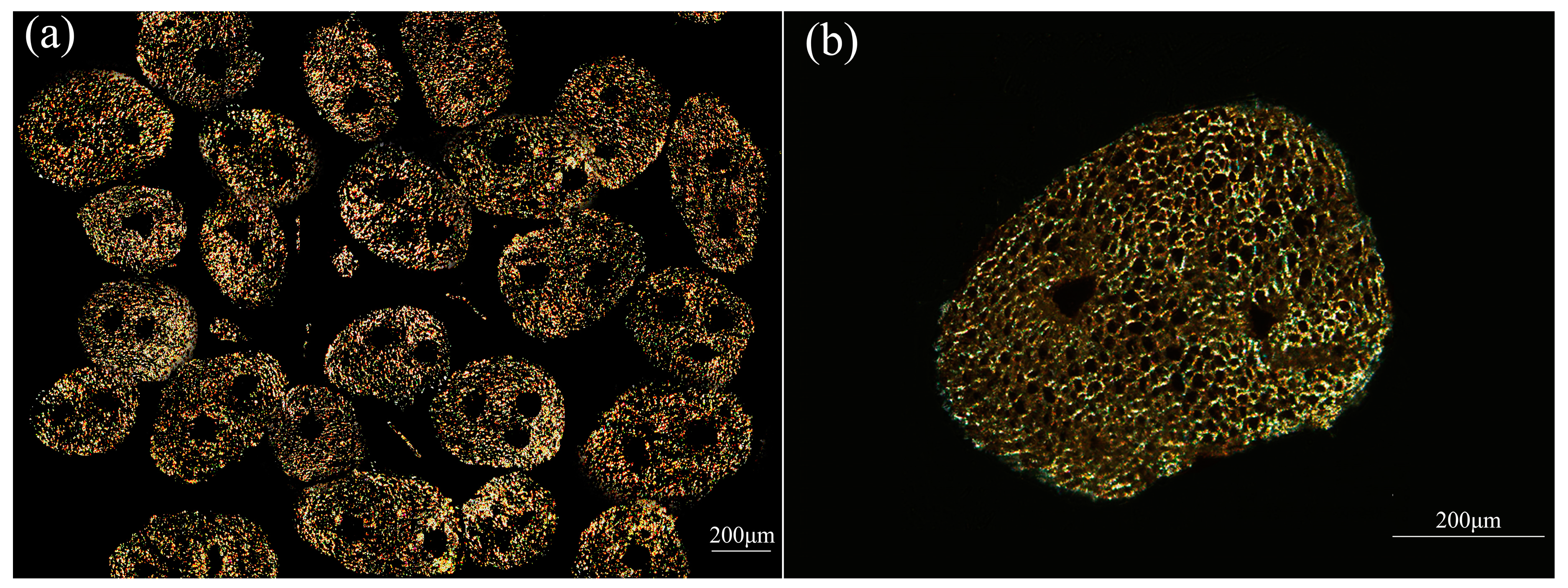 Materials 10 00479 g013