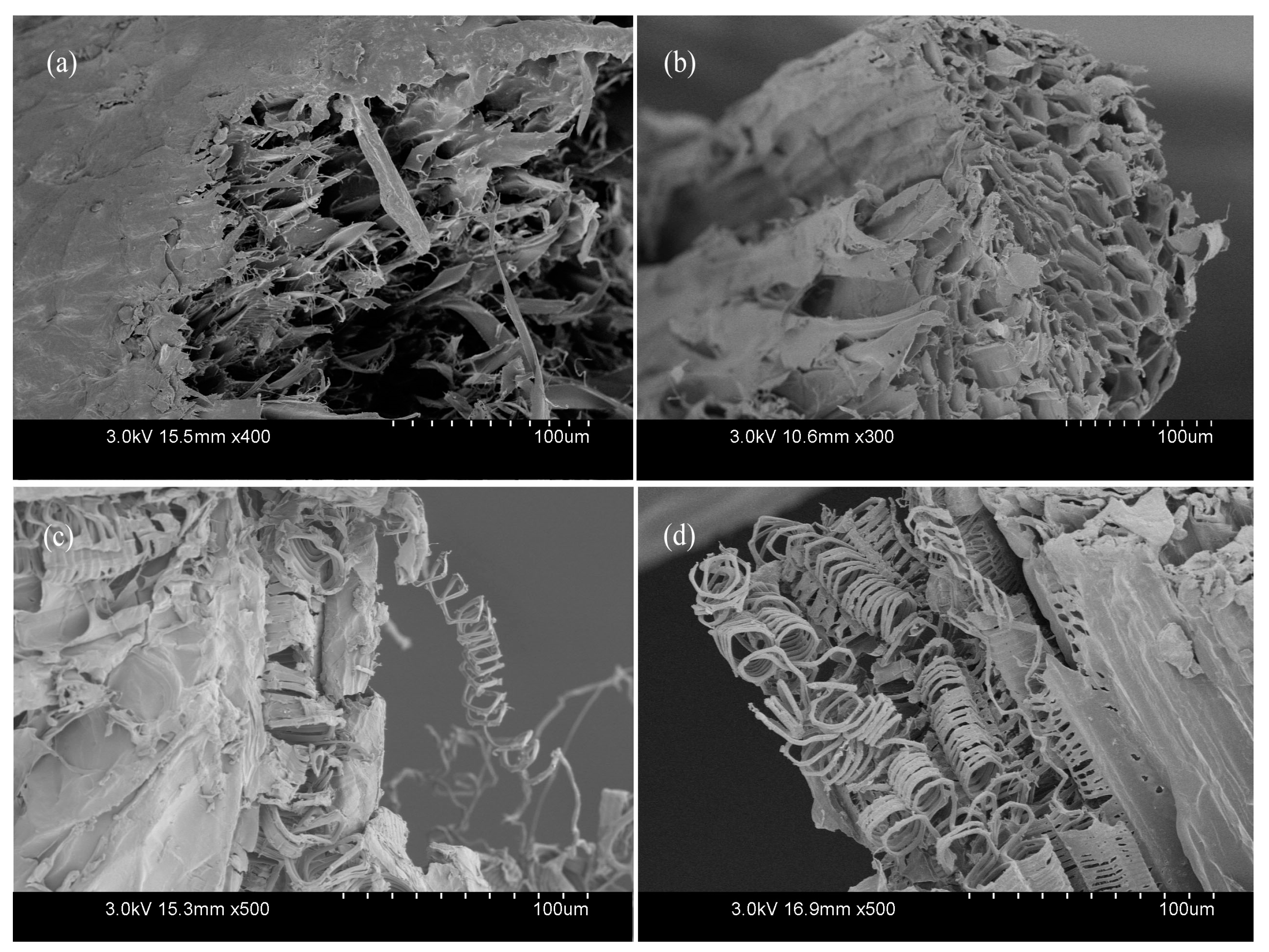 Materials 10 00479 g016