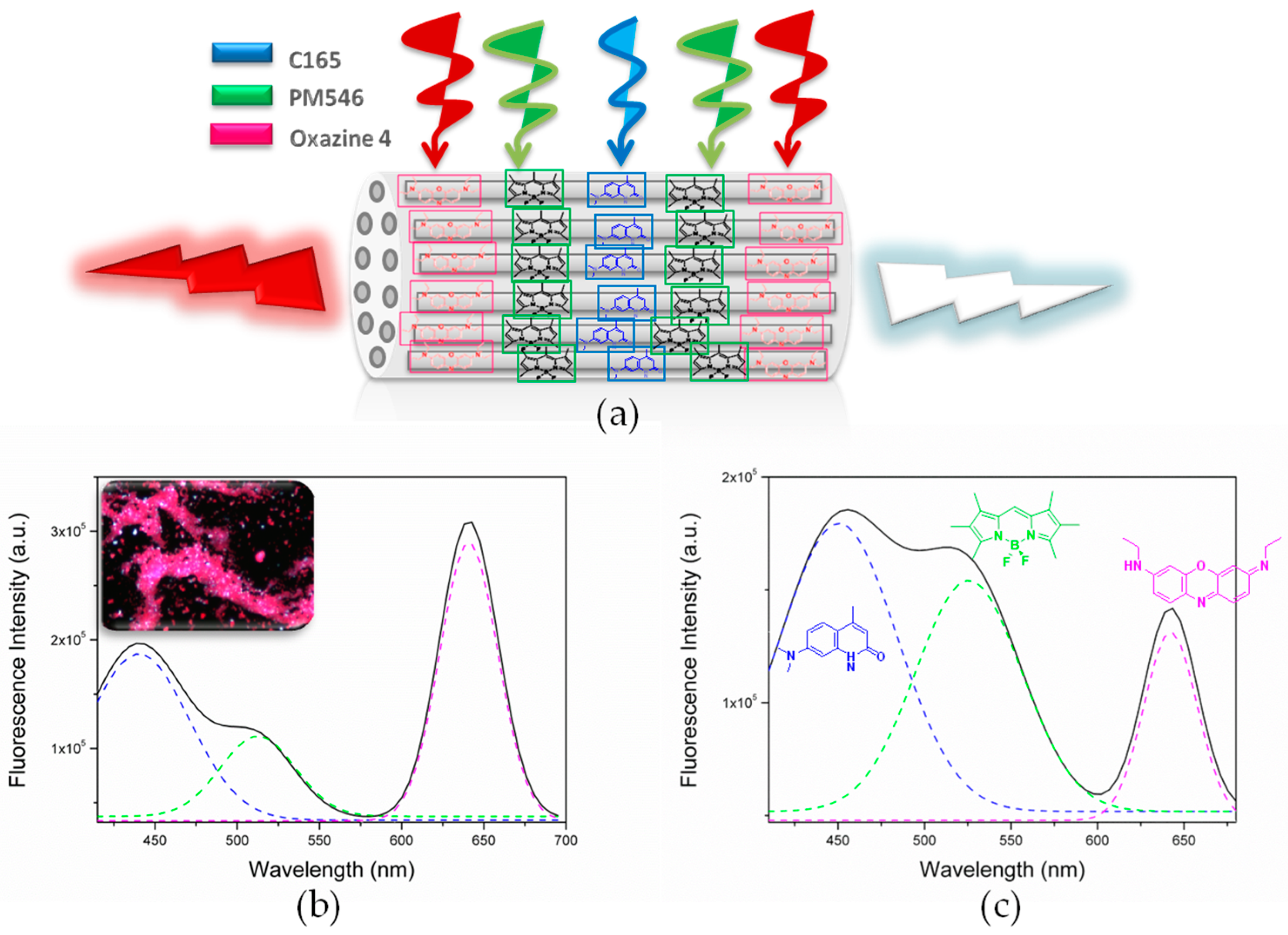 Materials 10 00495 g005