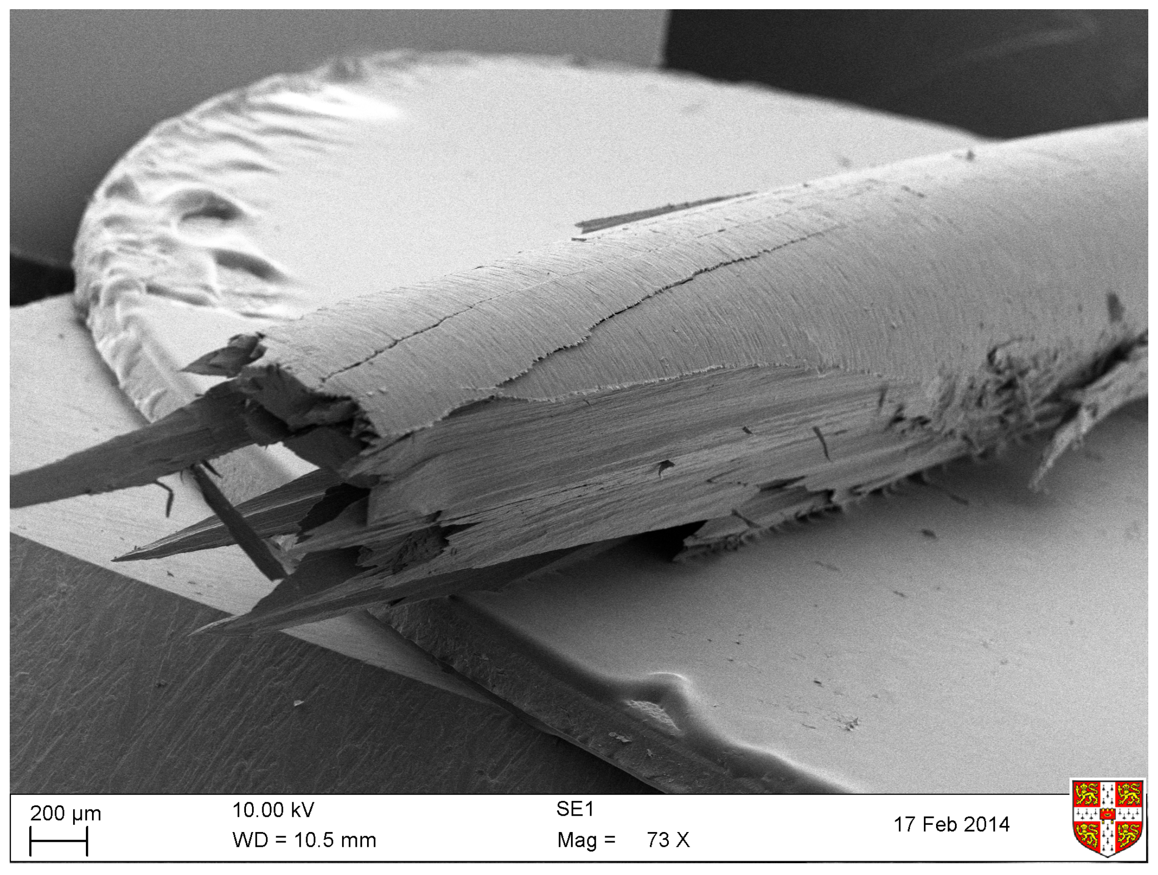 Materials 10 00497 g012
