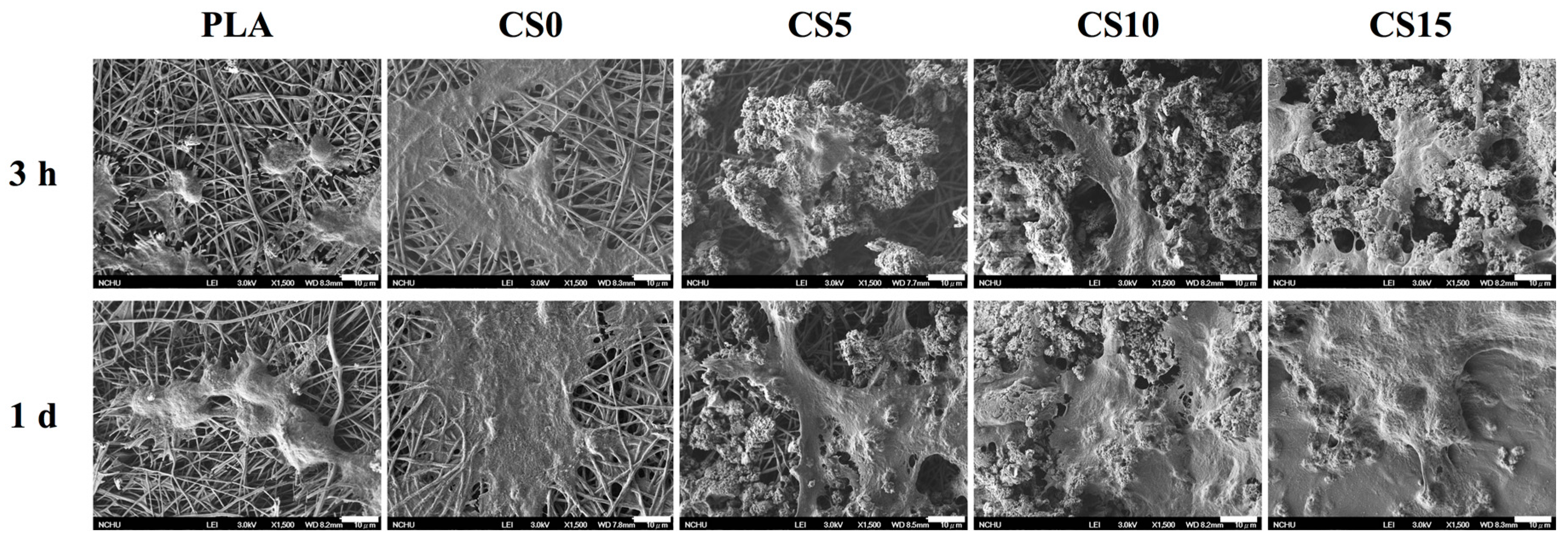 Materials 10 00501 g008