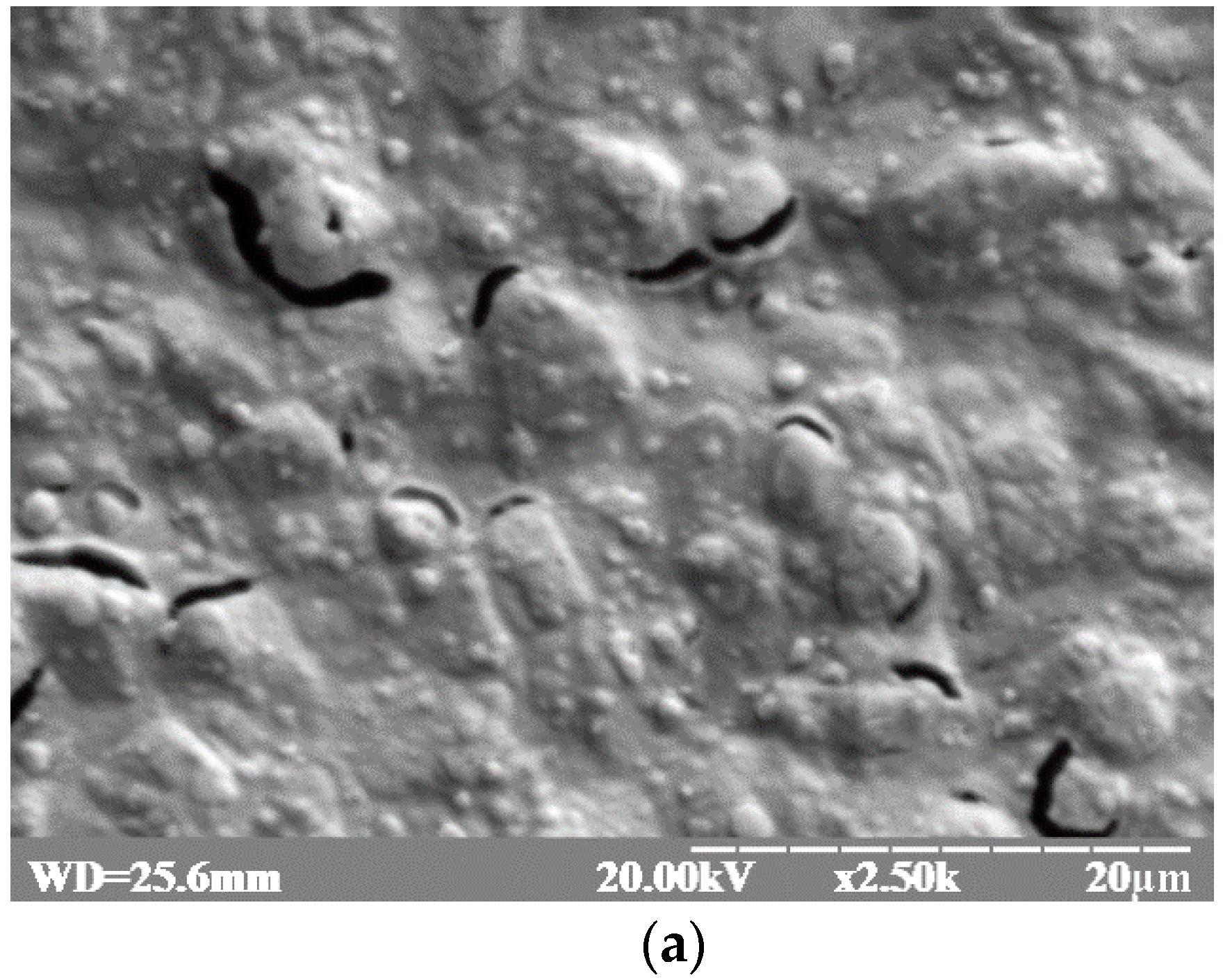 Materials 10 00503 g002a