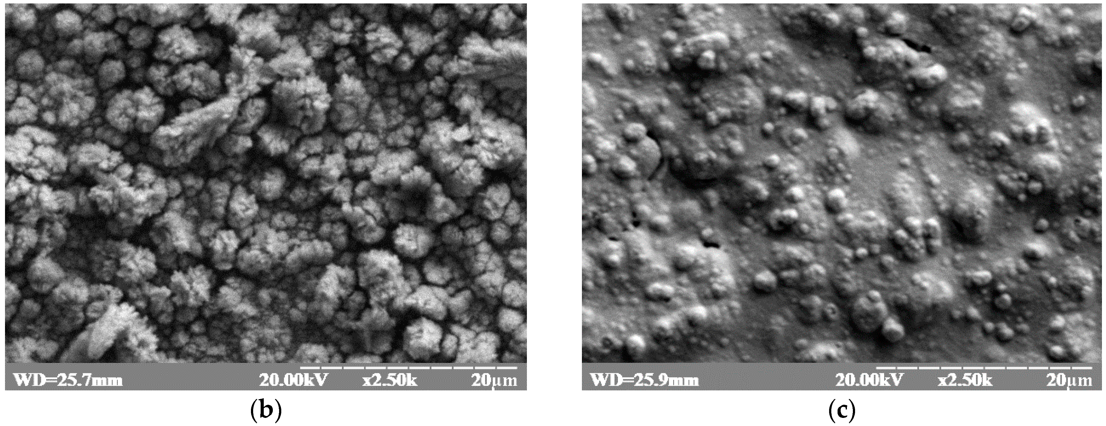 Materials 10 00503 g002b