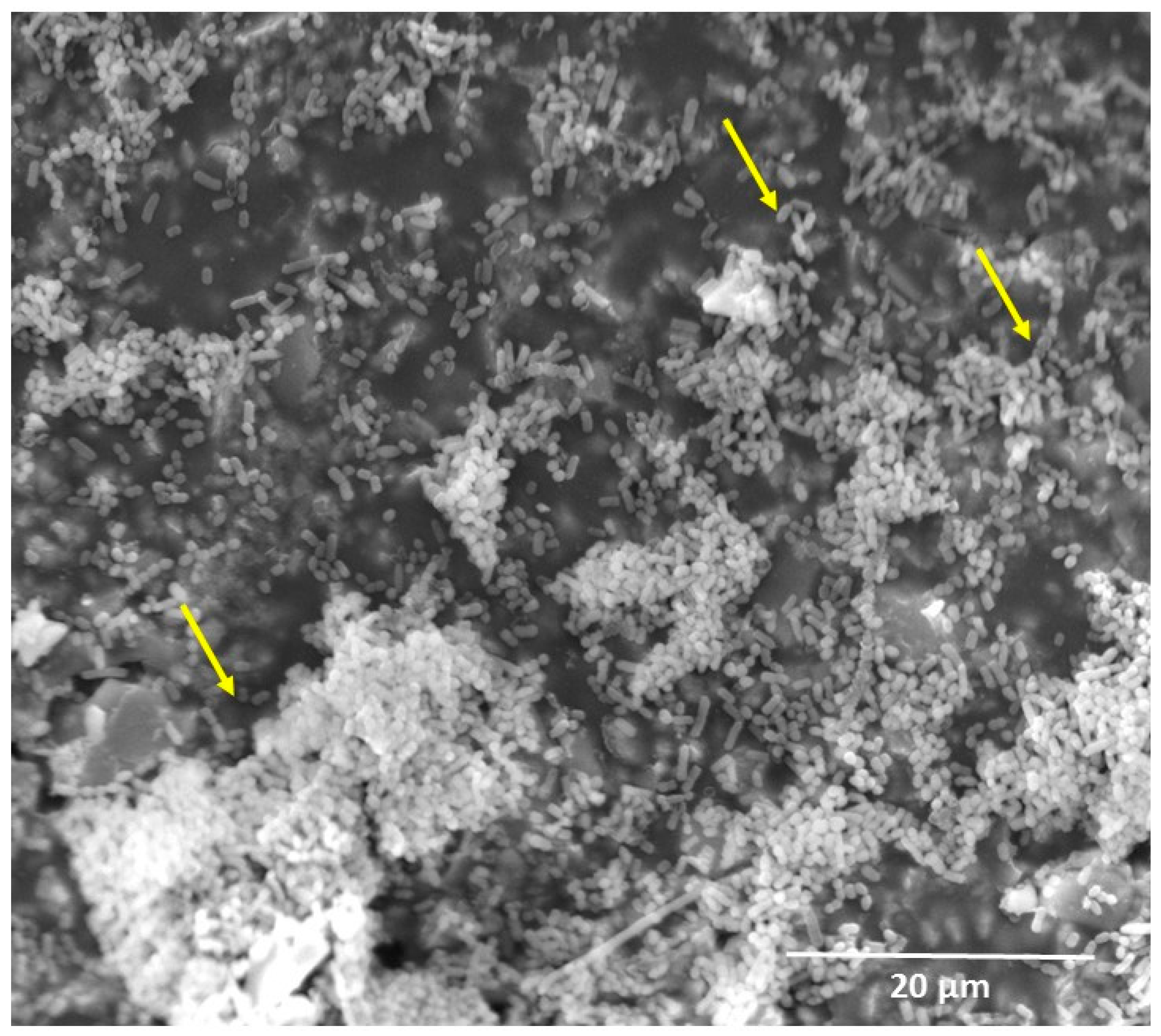 Materials 10 00507 g002 Materials 10 00507 g002