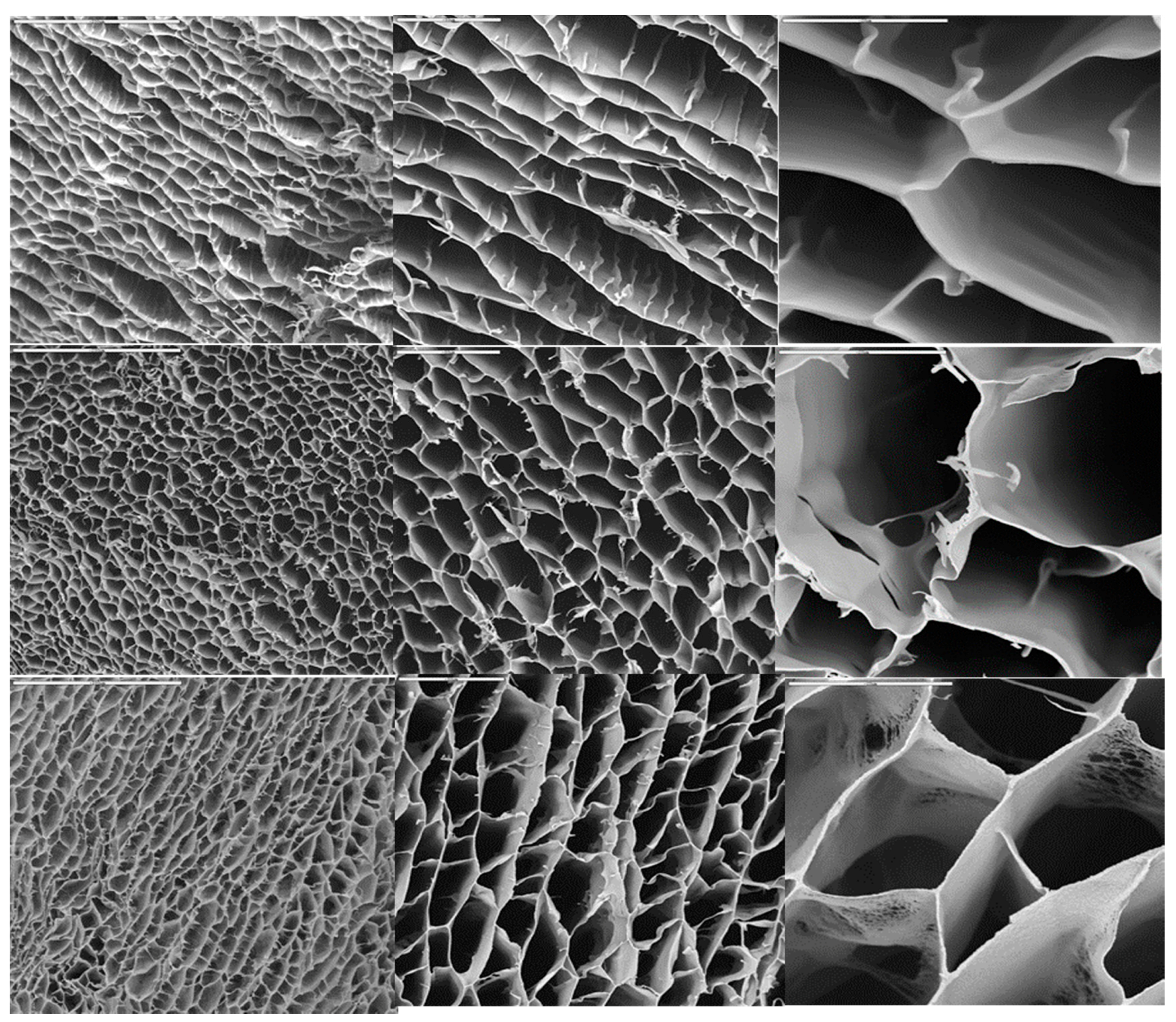 Materials 10 00516 g001