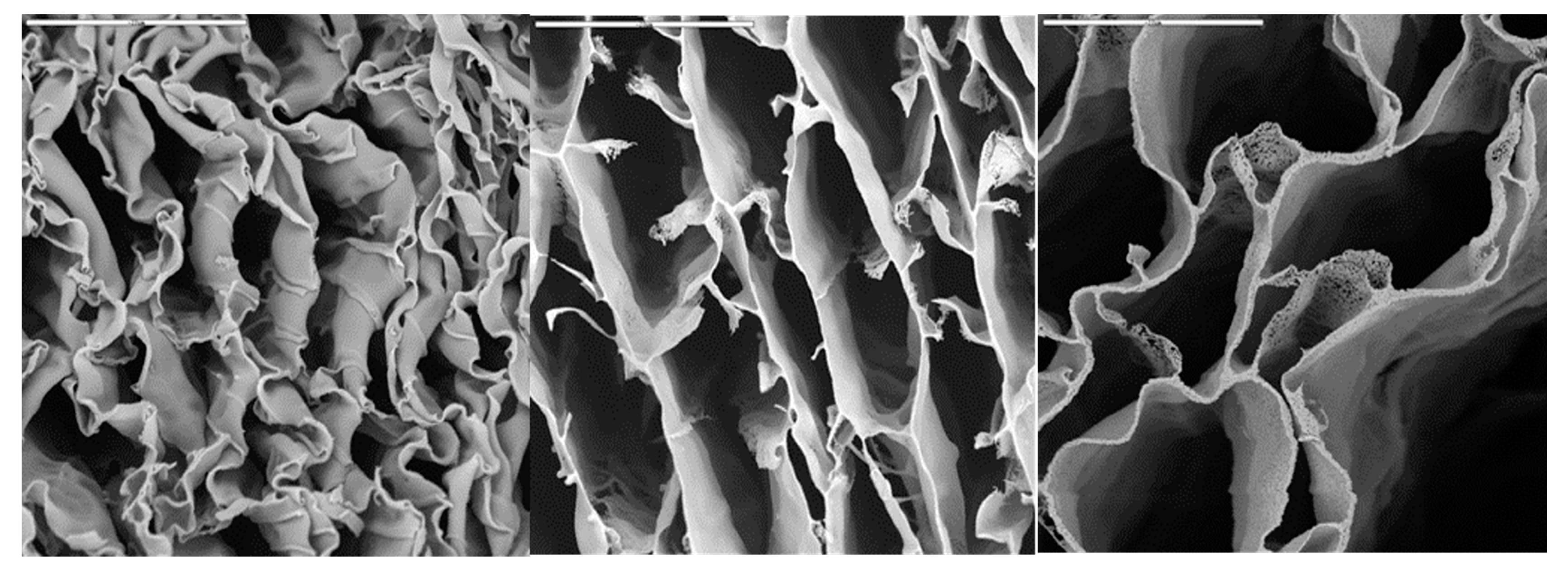 Materials 10 00516 g004