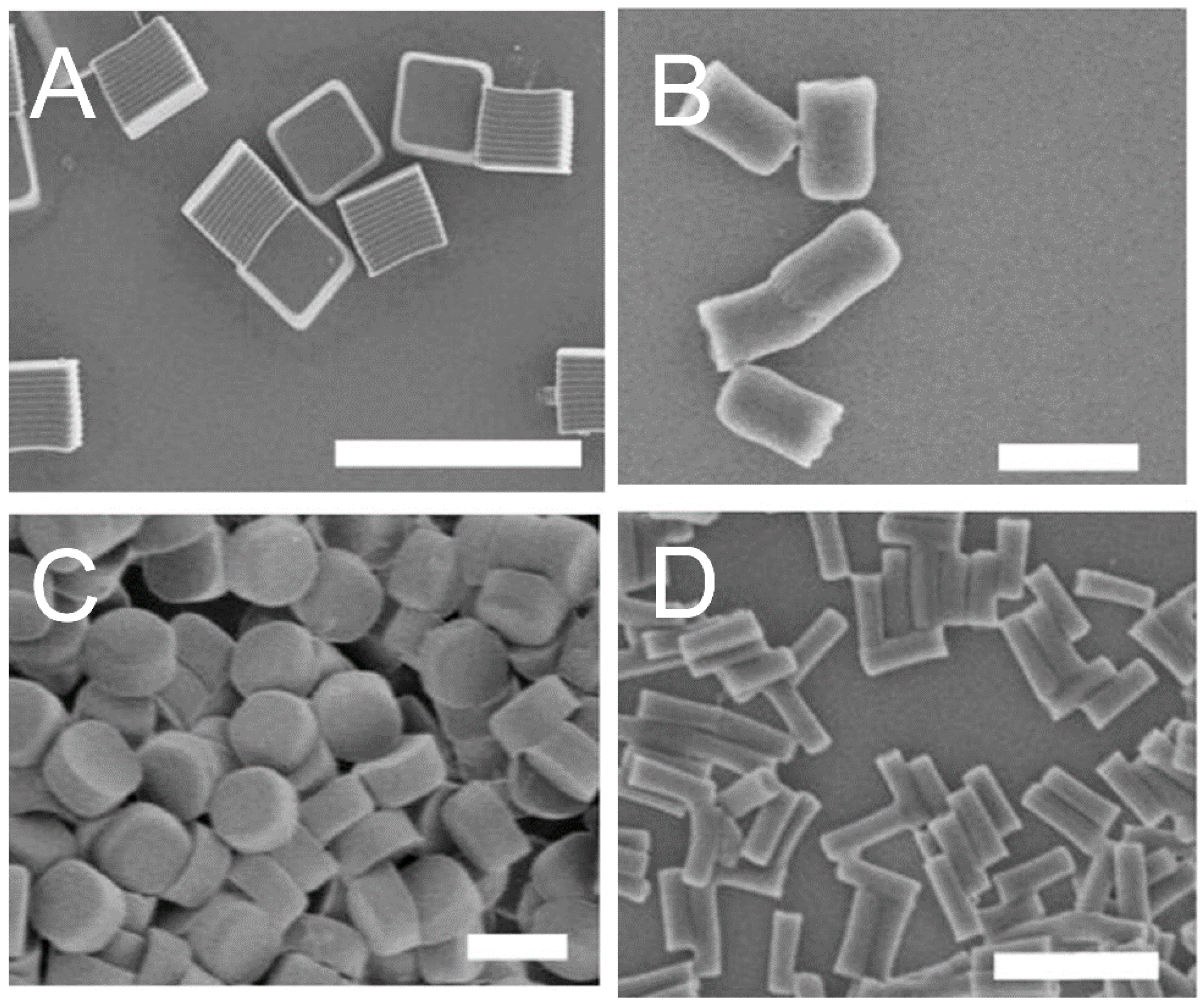 Materials 10 00517 g007 Materials 10 00517 g007
