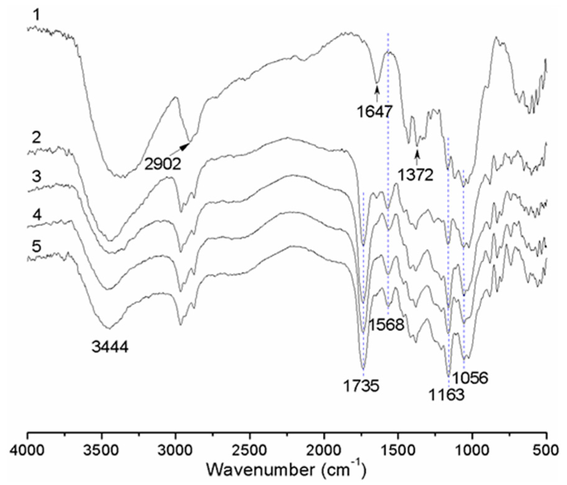 Materials 10 00526 g002