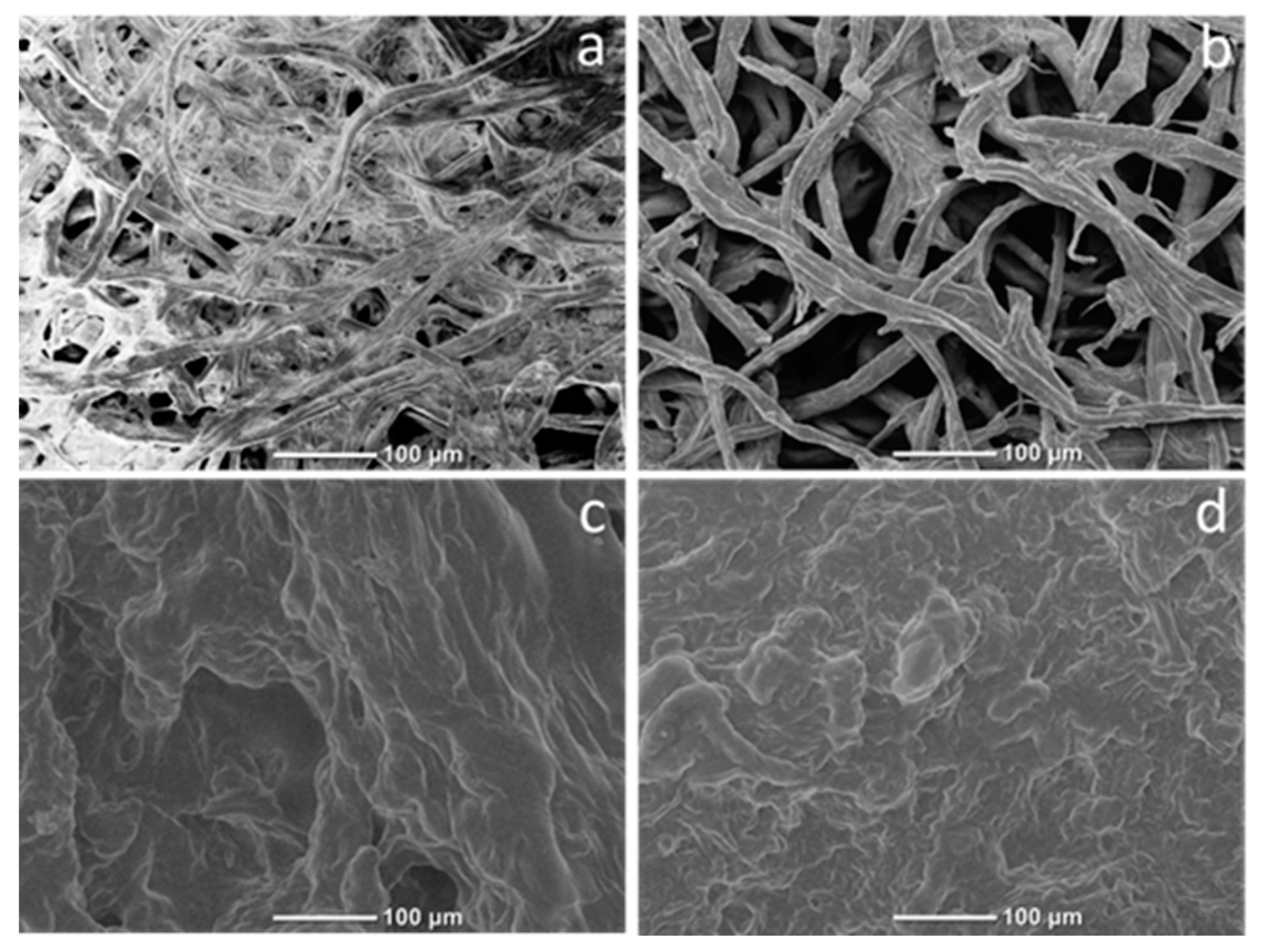 Materials 10 00526 g006