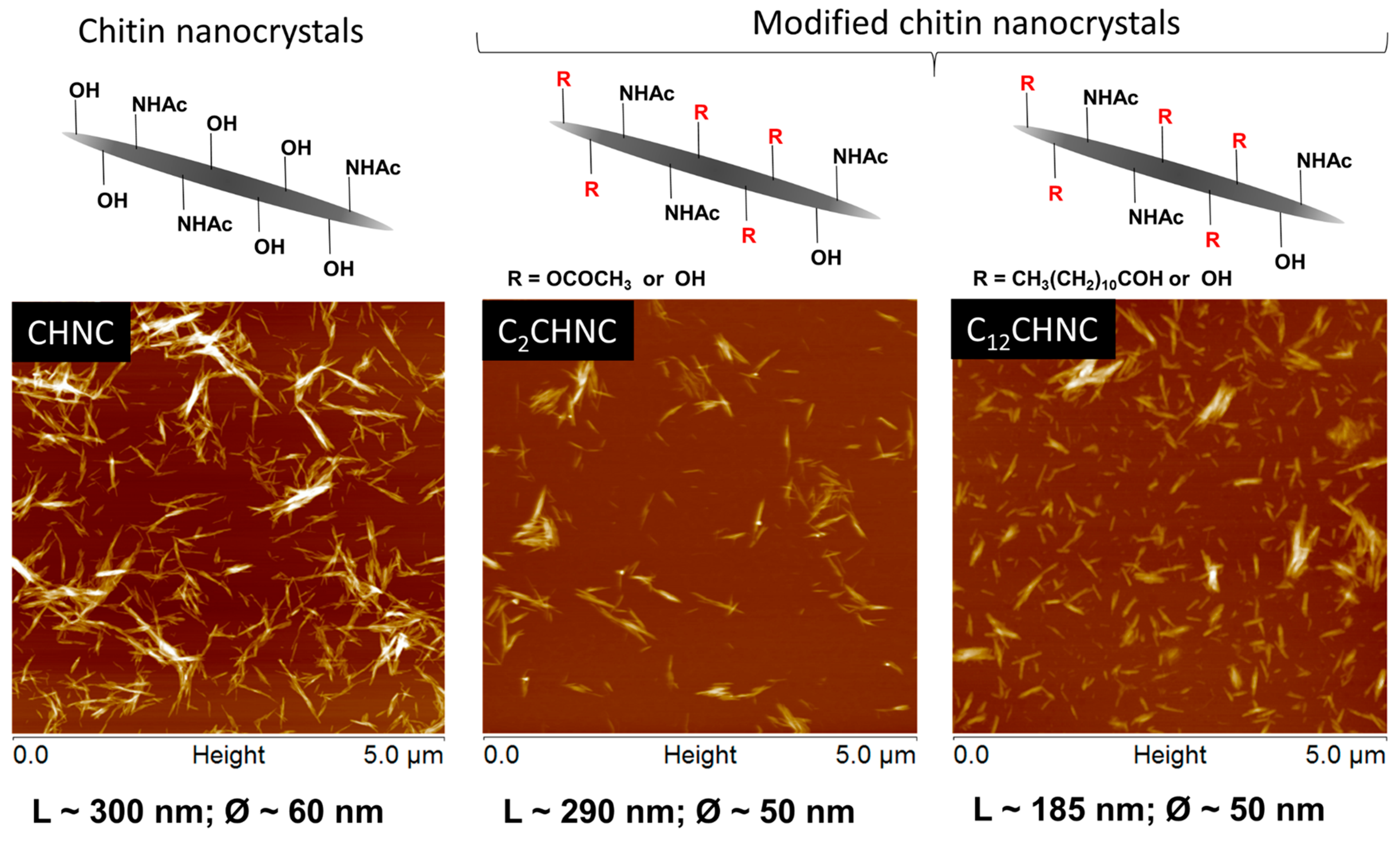 Materials 10 00546 g003