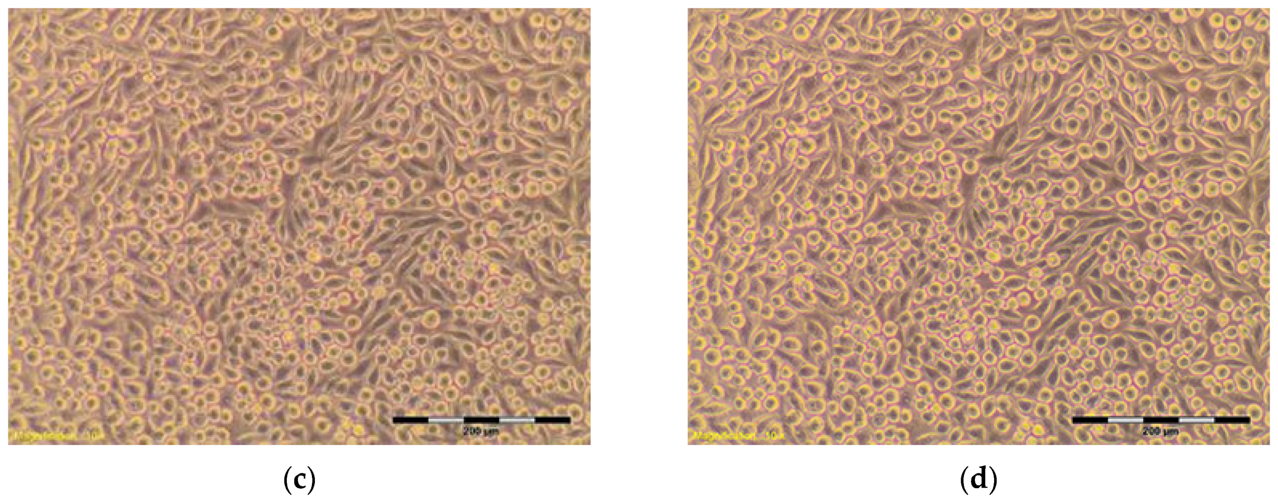 Materials 10 00590 g006b Materials 10 00590 g006b