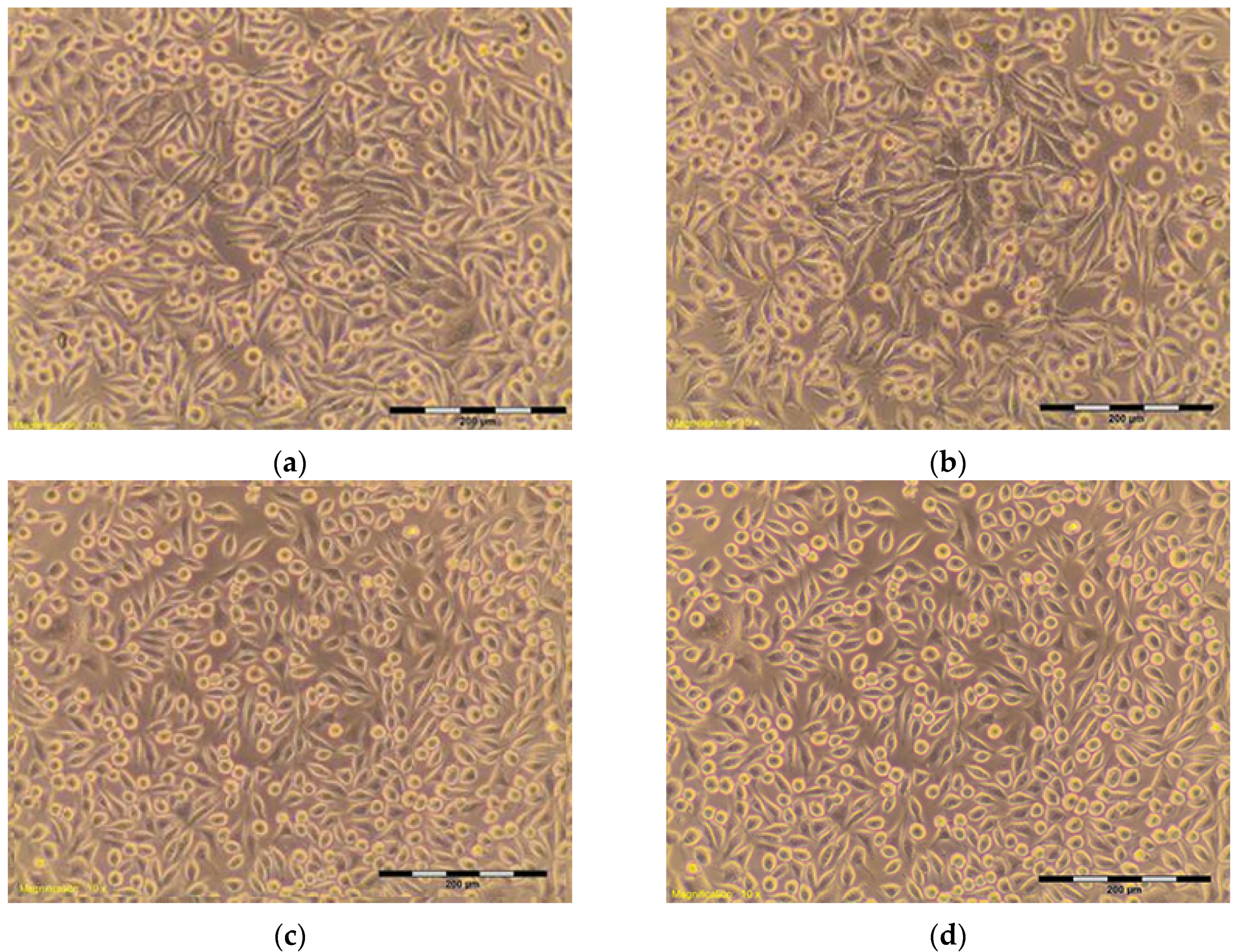 Materials 10 00590 g008 Materials 10 00590 g008