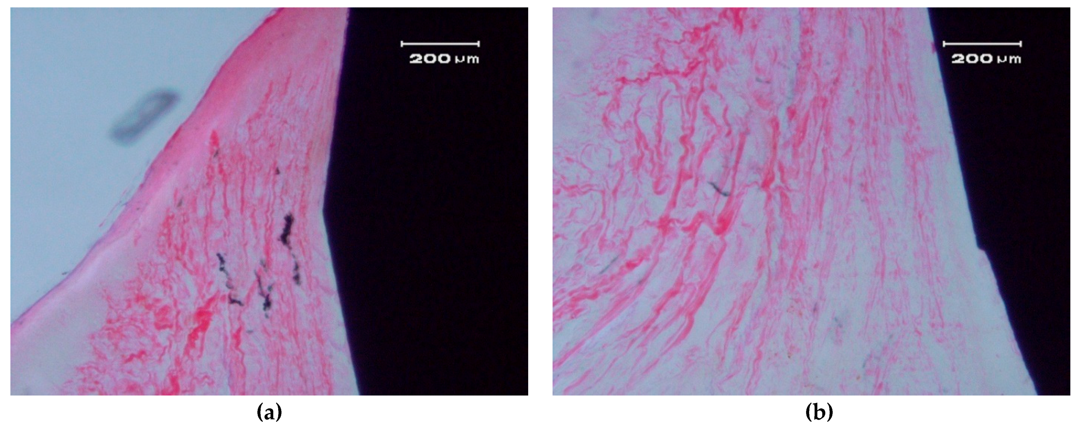 Materials 10 00614 g007