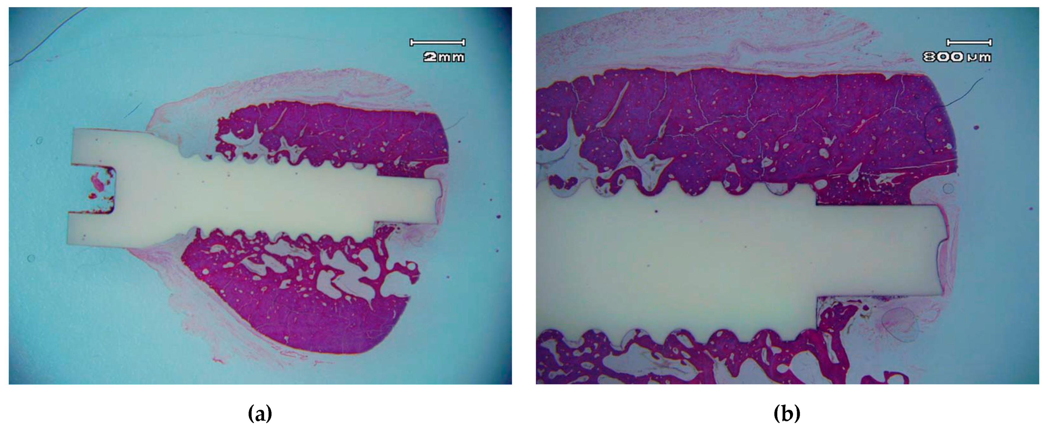 Materials 10 00614 g008