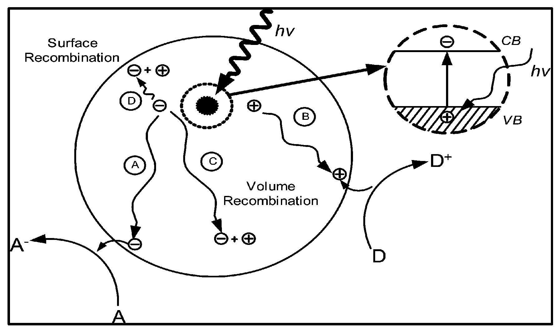 Advances in Photocatalytic CO2 Reduction with Water: A Review
