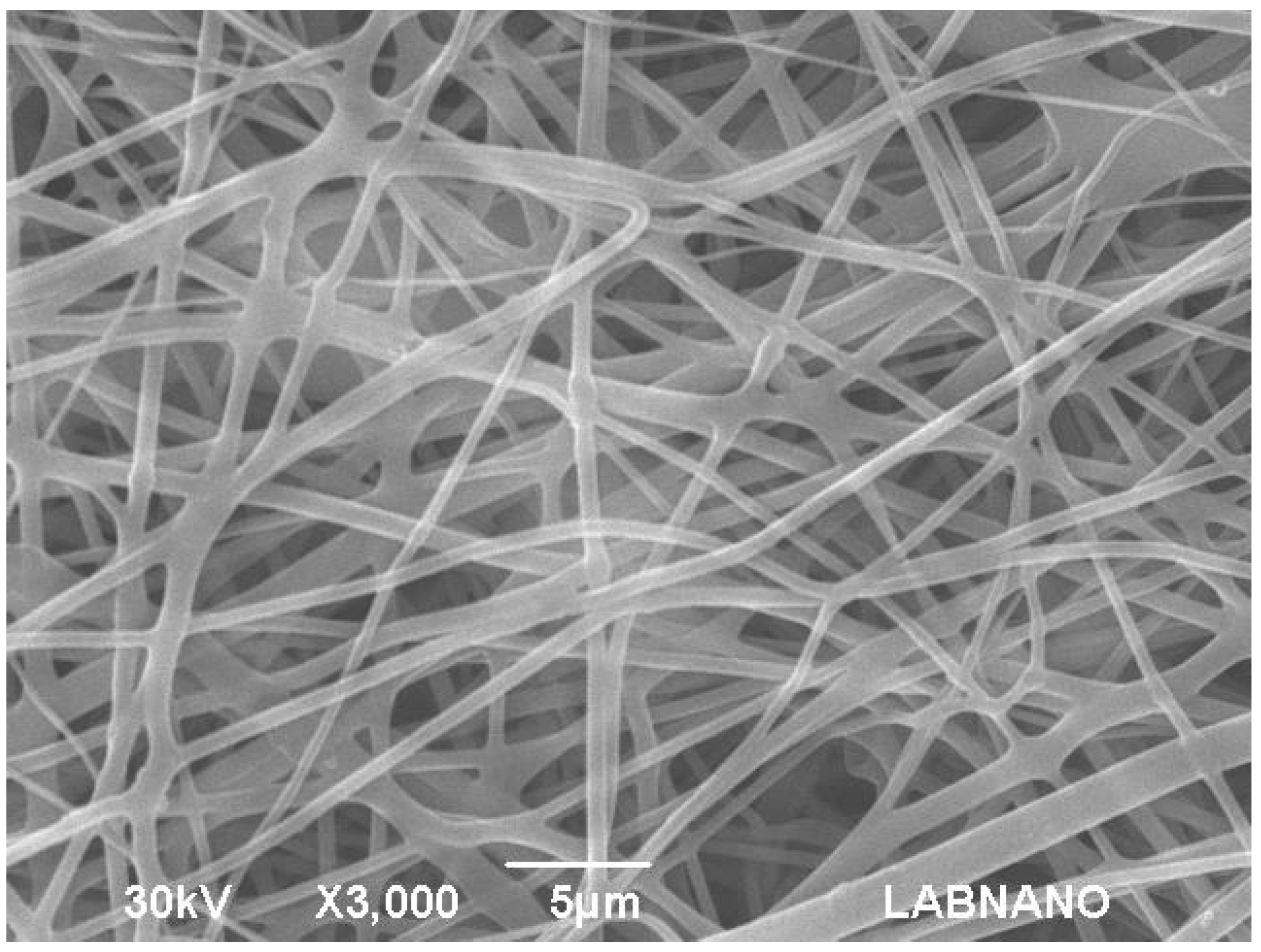 Materials 10 00651 g004 Materials 10 00651 g004