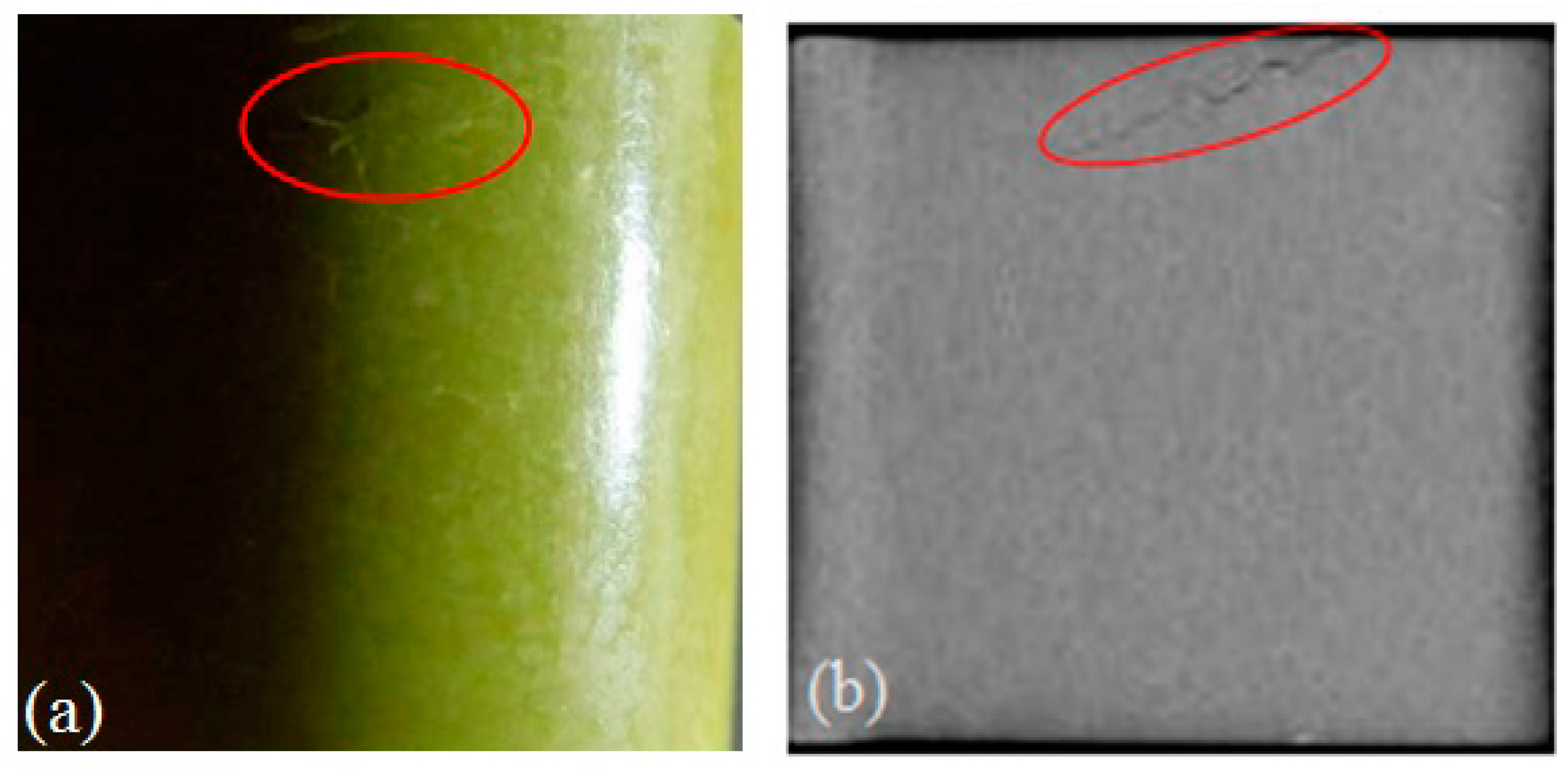 Materials 10 00660 g008