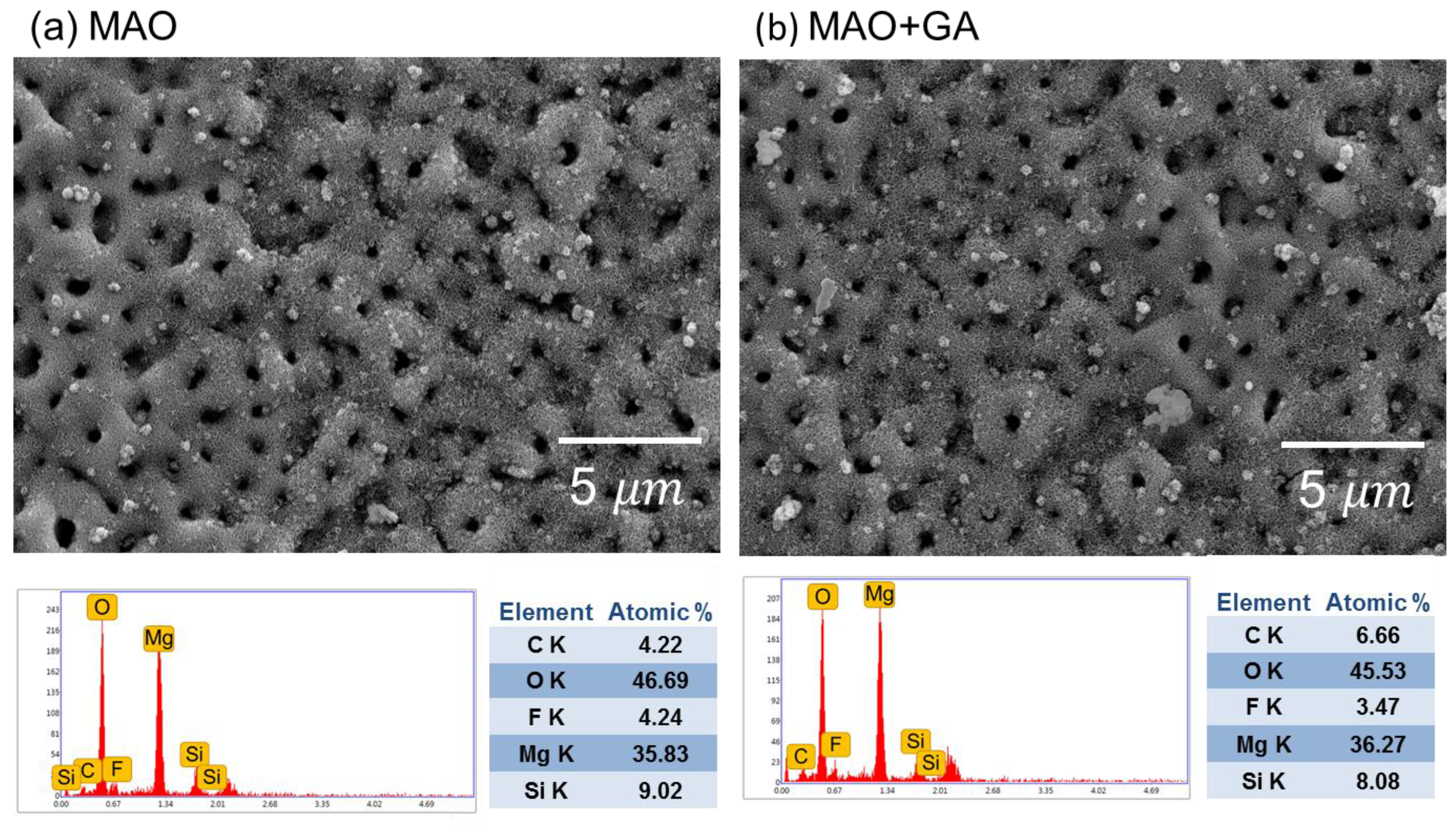 Materials 10 00696 g001