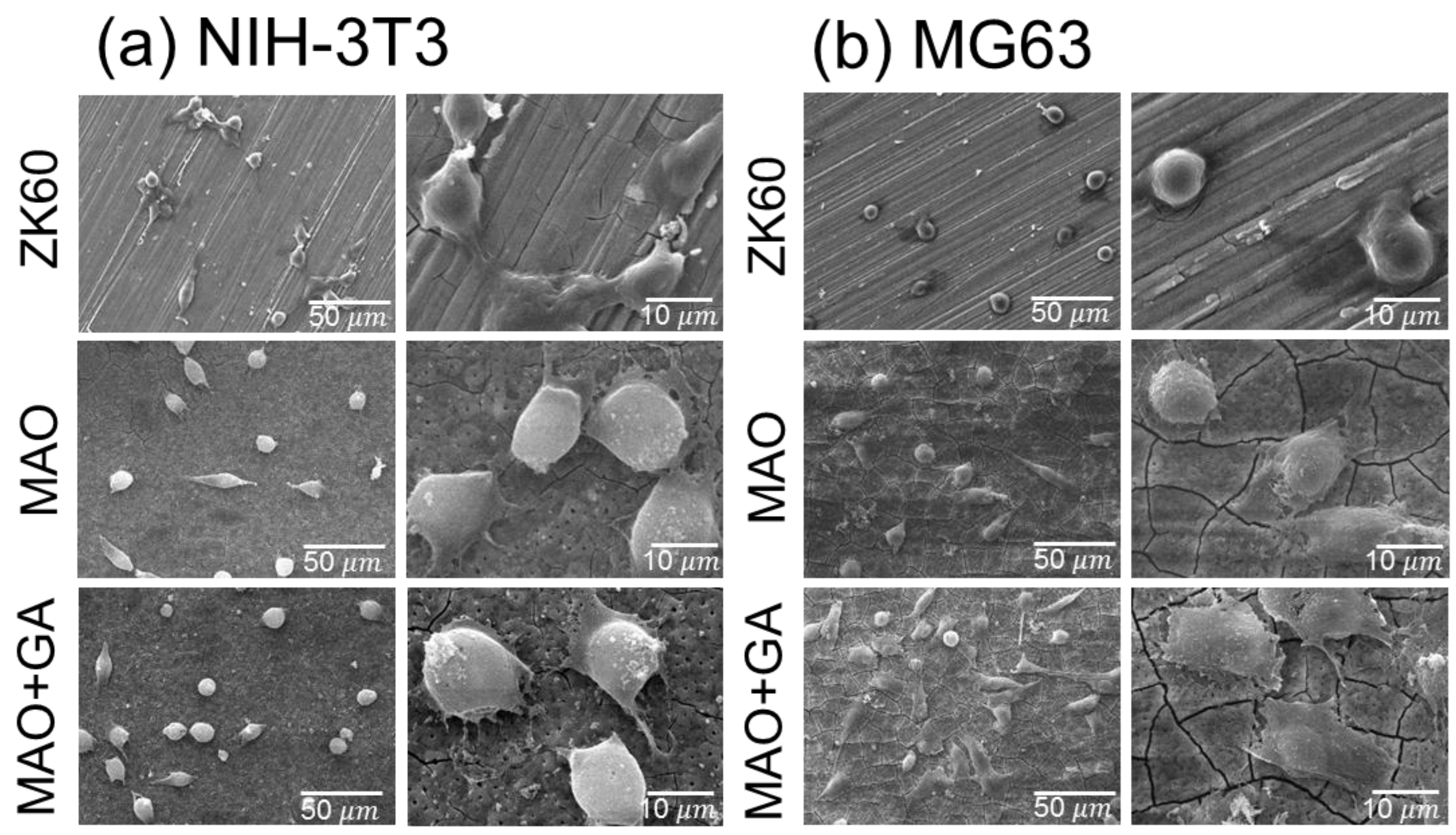 Materials 10 00696 g008