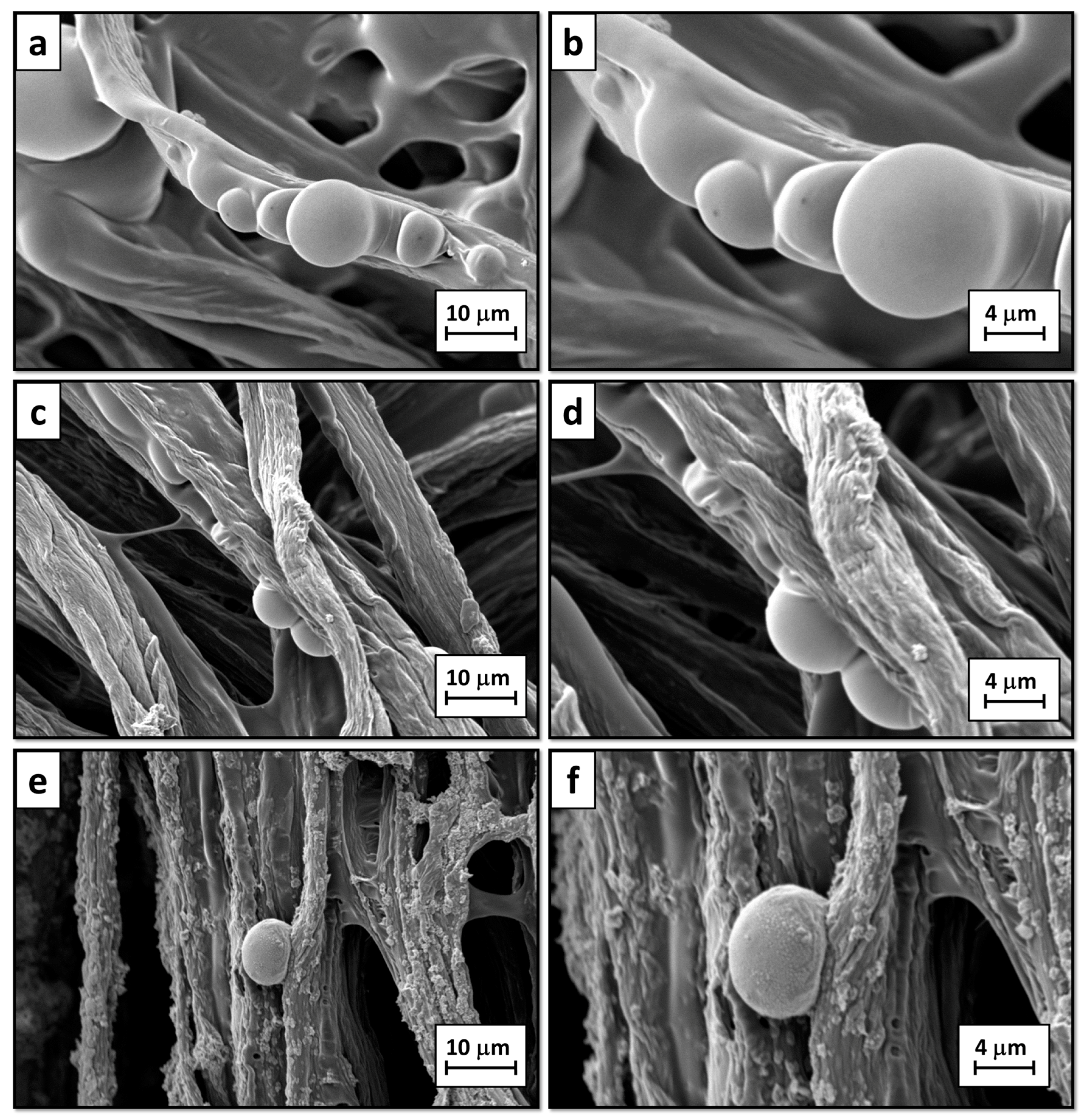 Materials 10 00709 g005