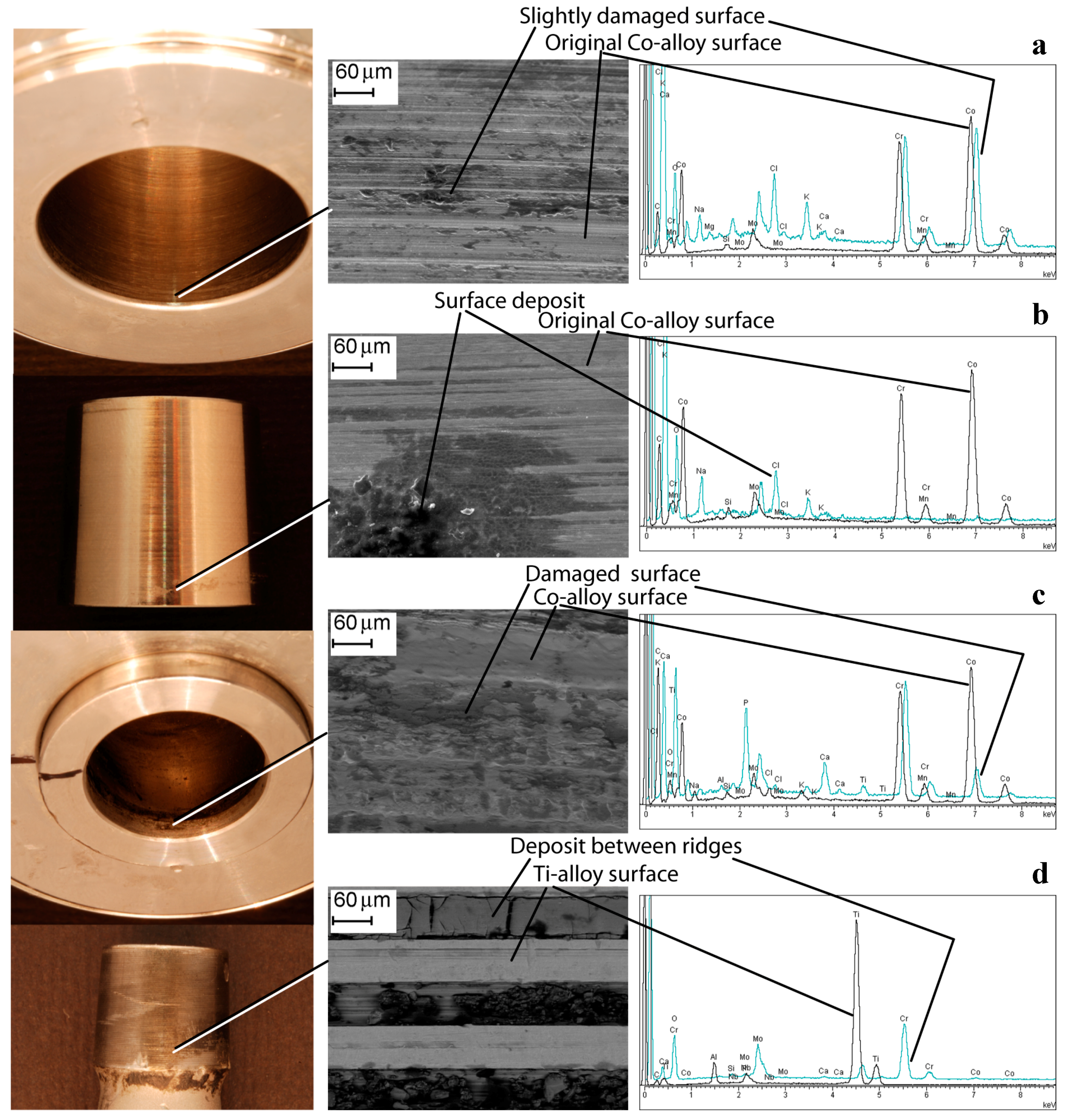 Materials 10 00733 g006 Materials 10 00733 g006