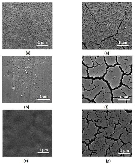 Materials 10 00738 g003a Materials 10 00738 g003a