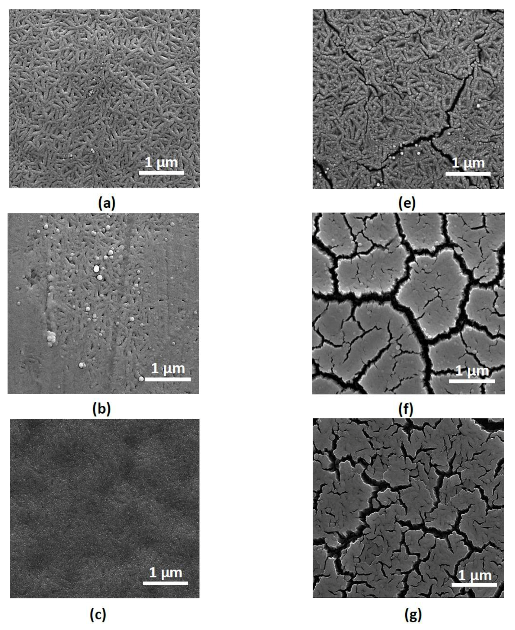 Materials 10 00738 g003a Materials 10 00738 g003a