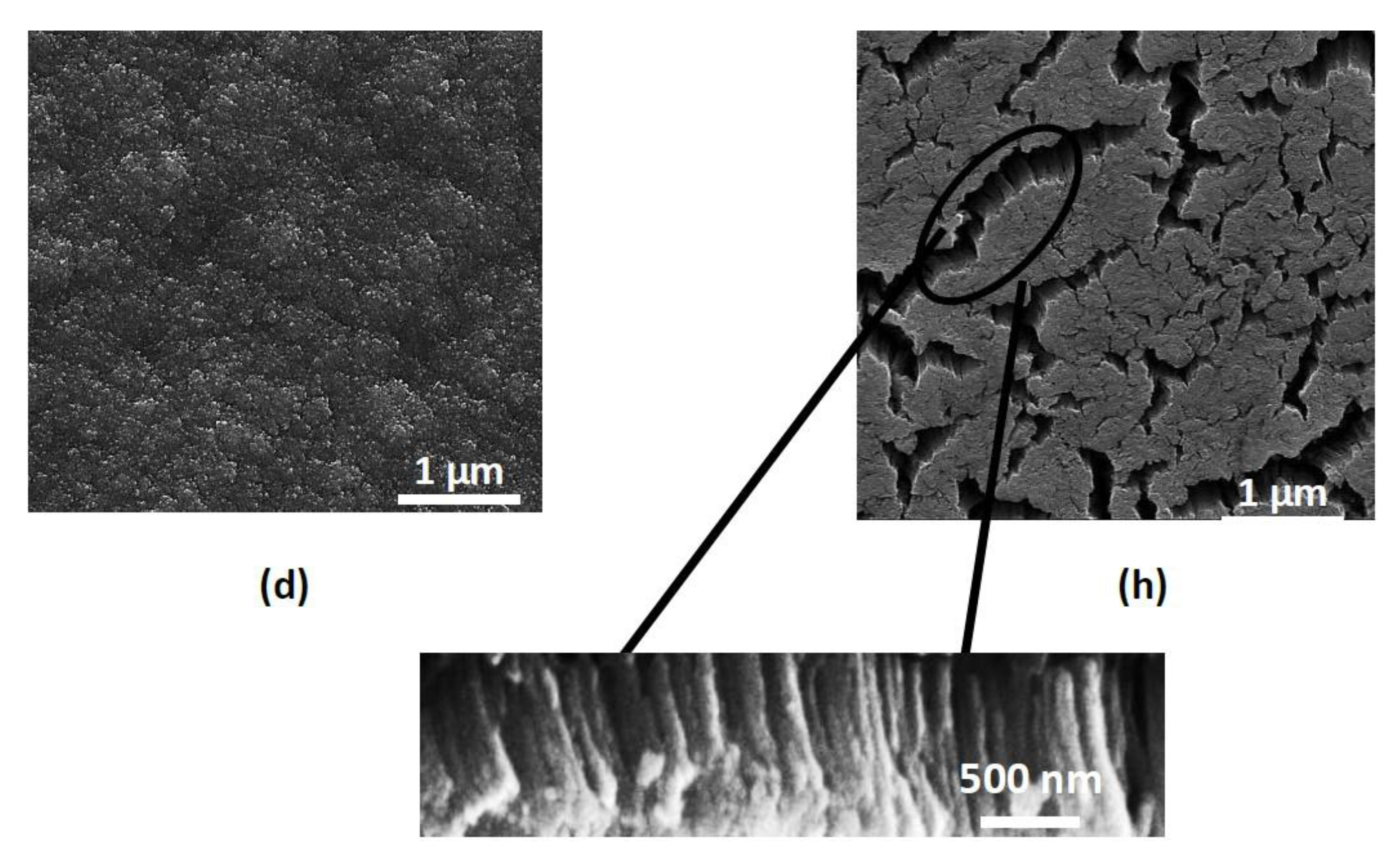 Materials 10 00738 g003b Materials 10 00738 g003b