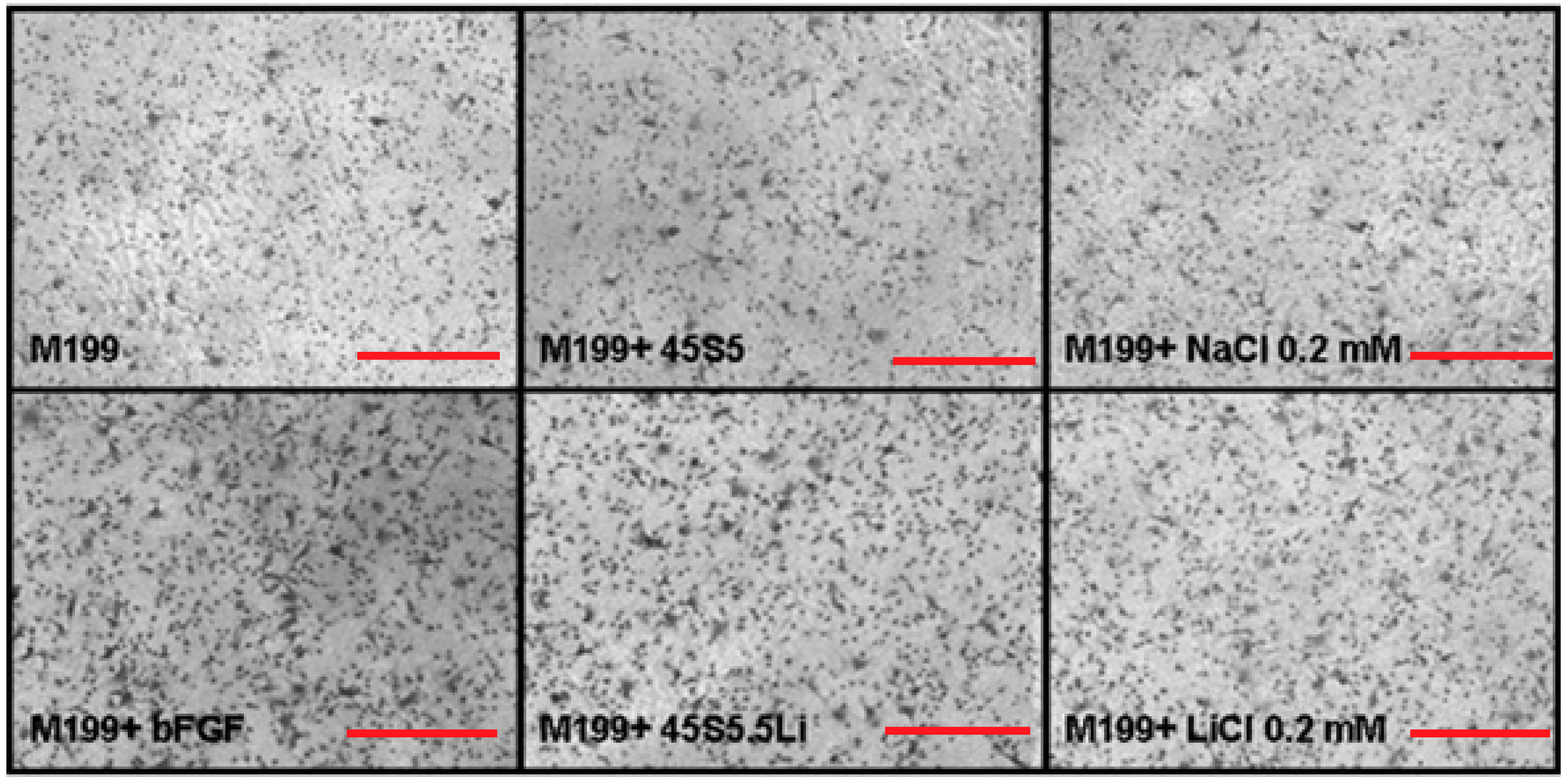 Materials 10 00740 g003 Materials 10 00740 g003