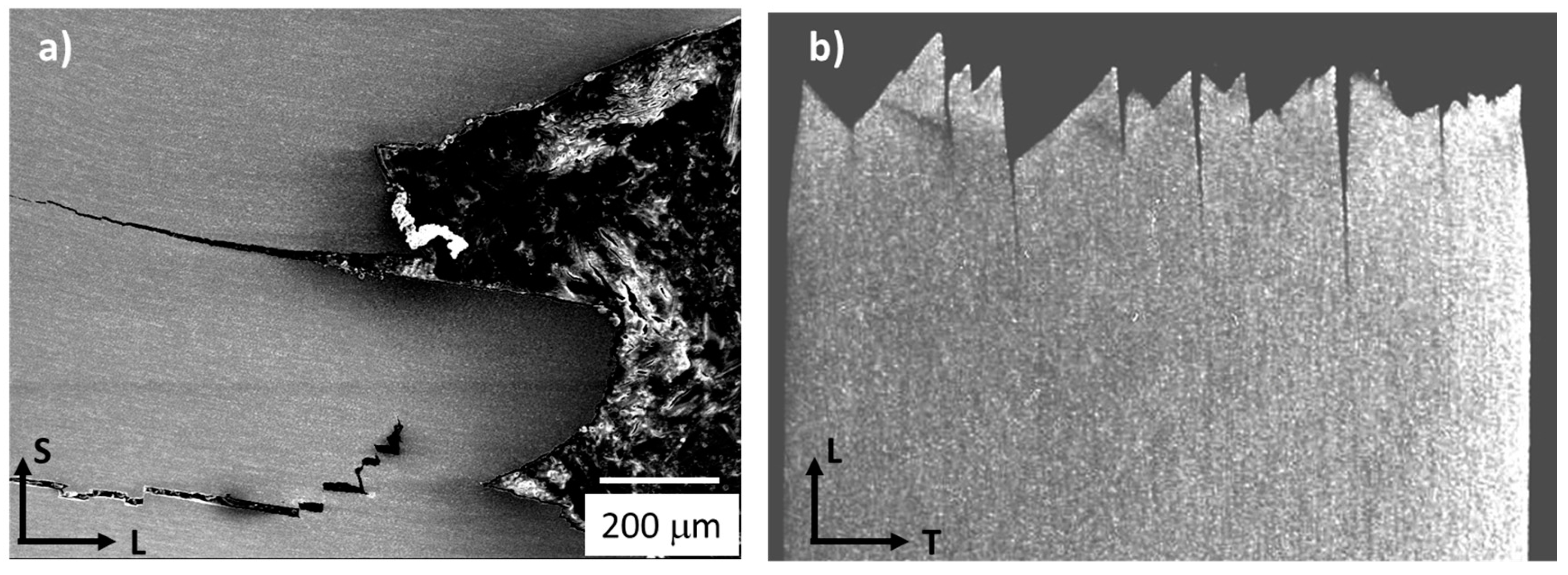 Materials 10 00745 g004