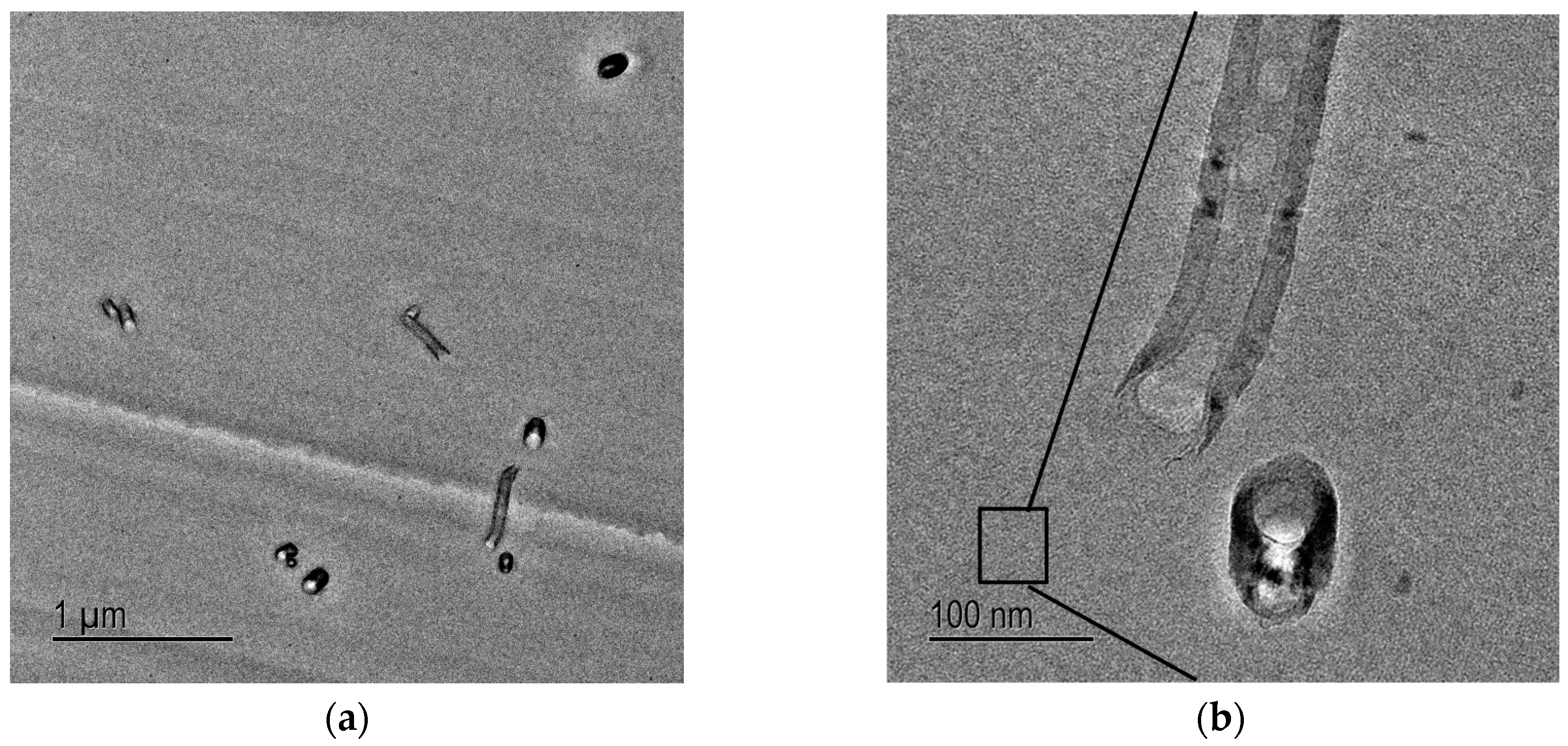 Materials 10 00776 g006