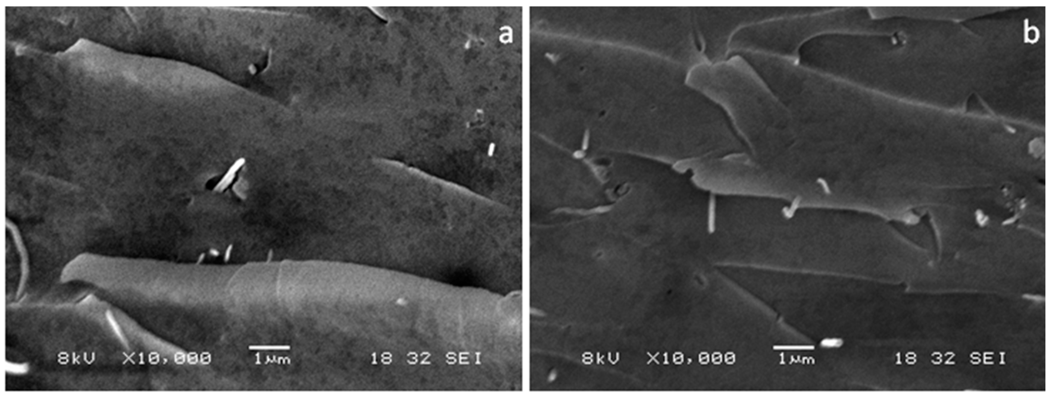 Materials 10 00776 g014a