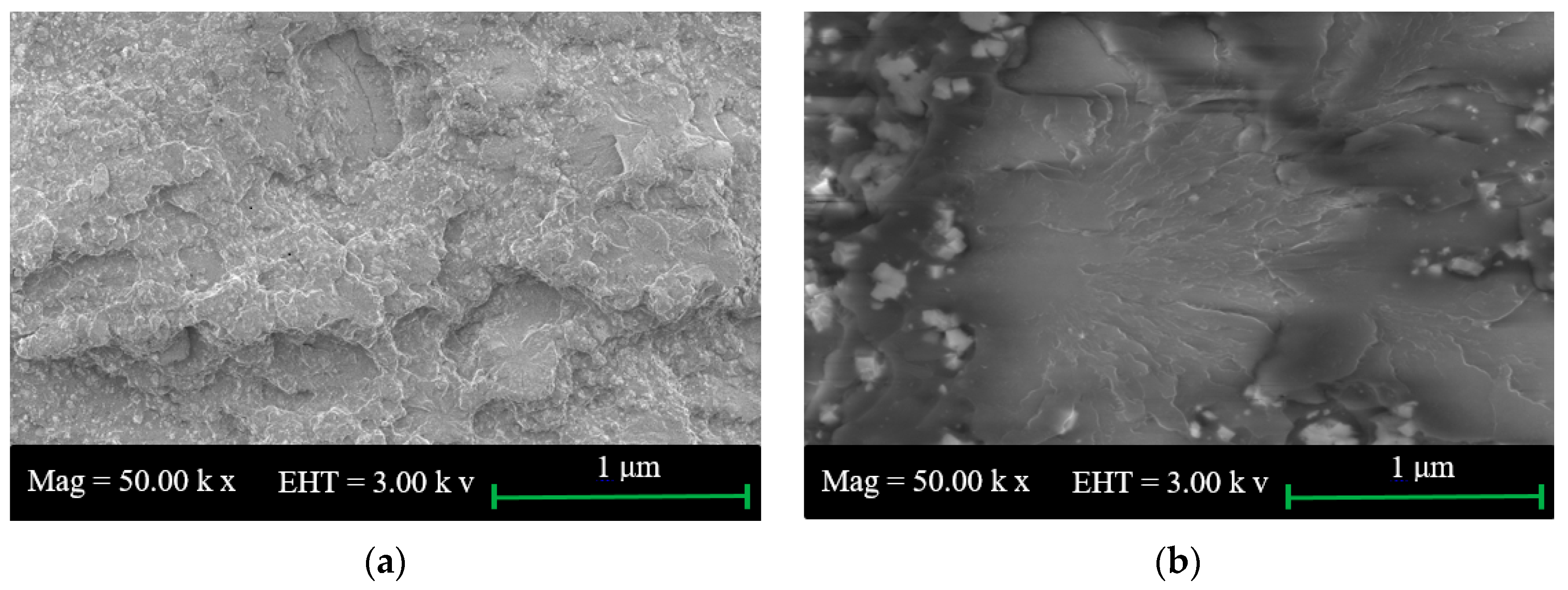 Materials 10 00777 g001