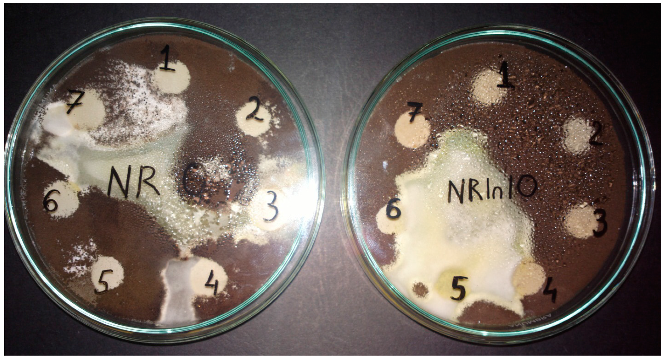 Materials 10 00787 g002