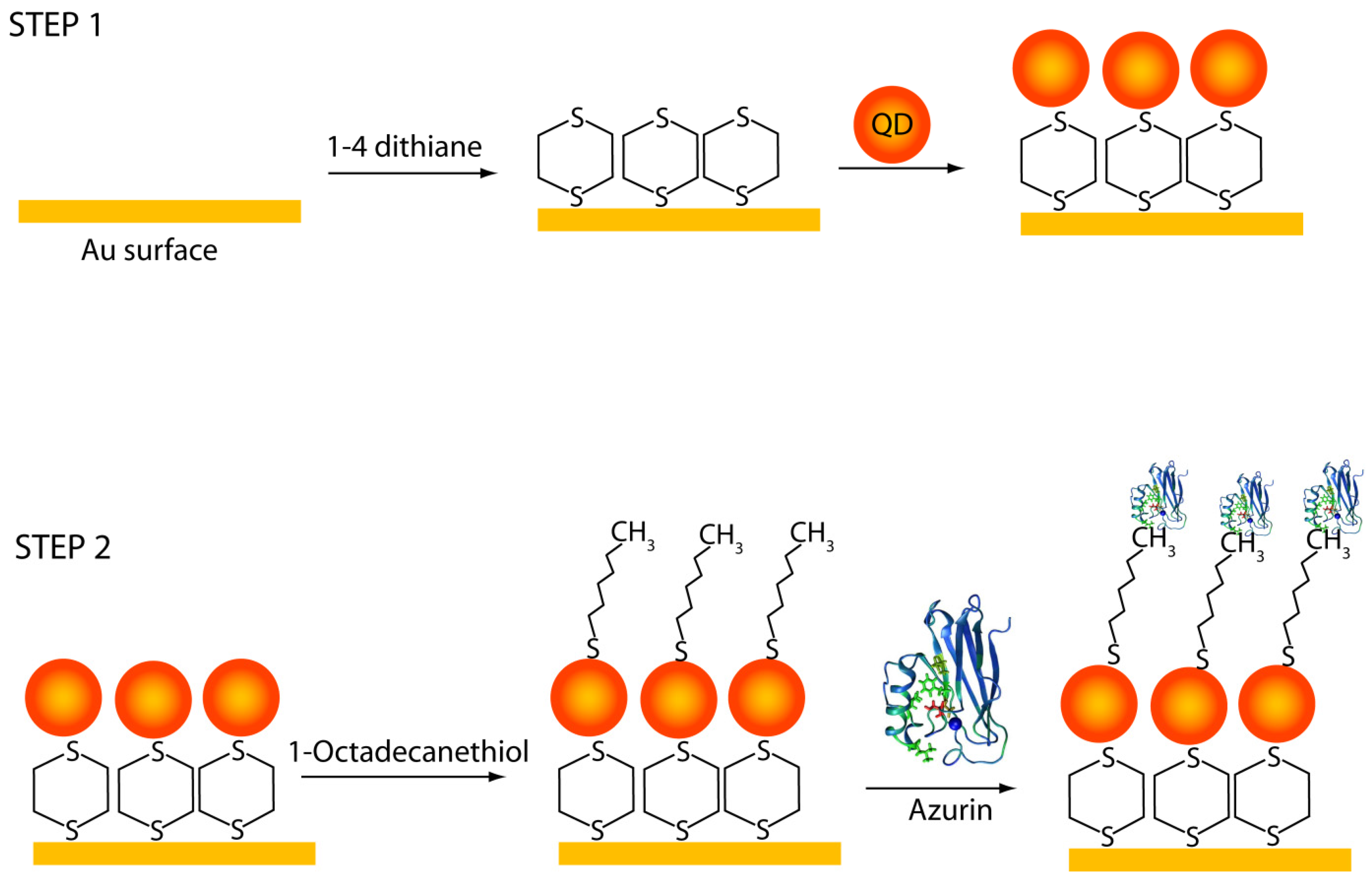Materials 10 00803 g001