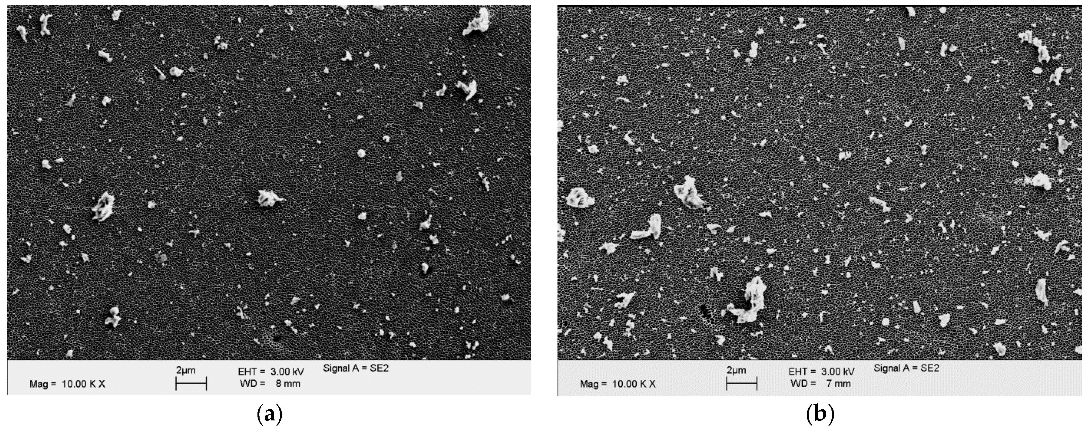Materials 10 00805 g006 Materials 10 00805 g006