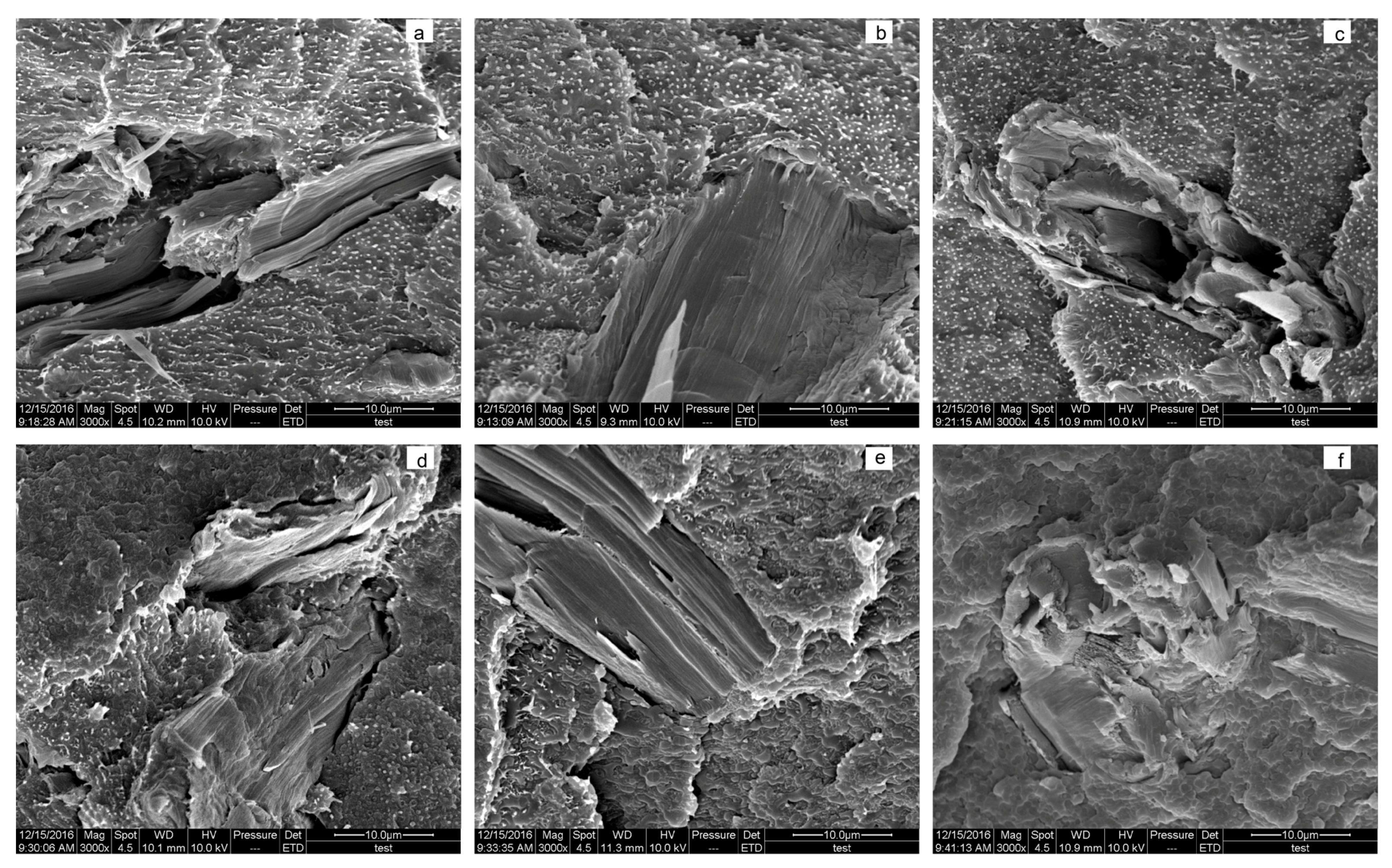Materials 10 00808 g005a