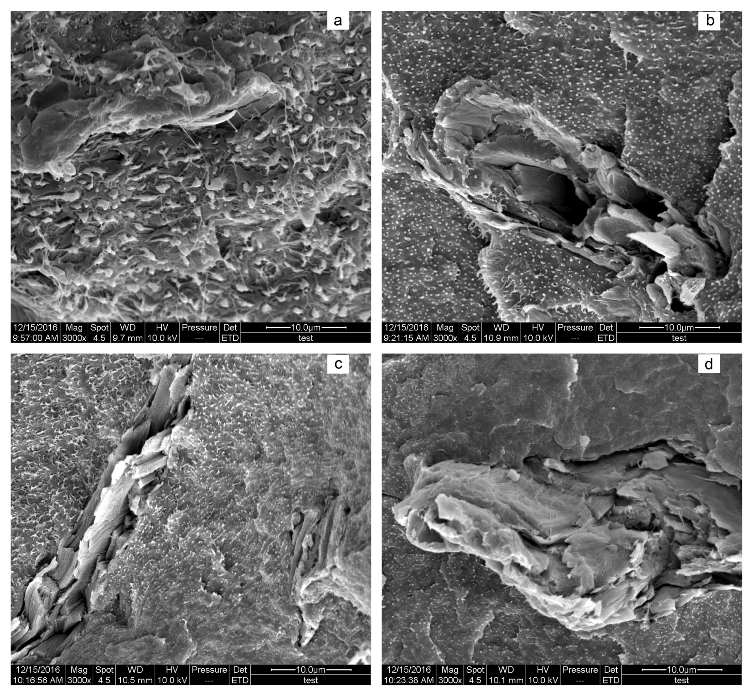 Materials 10 00808 g006