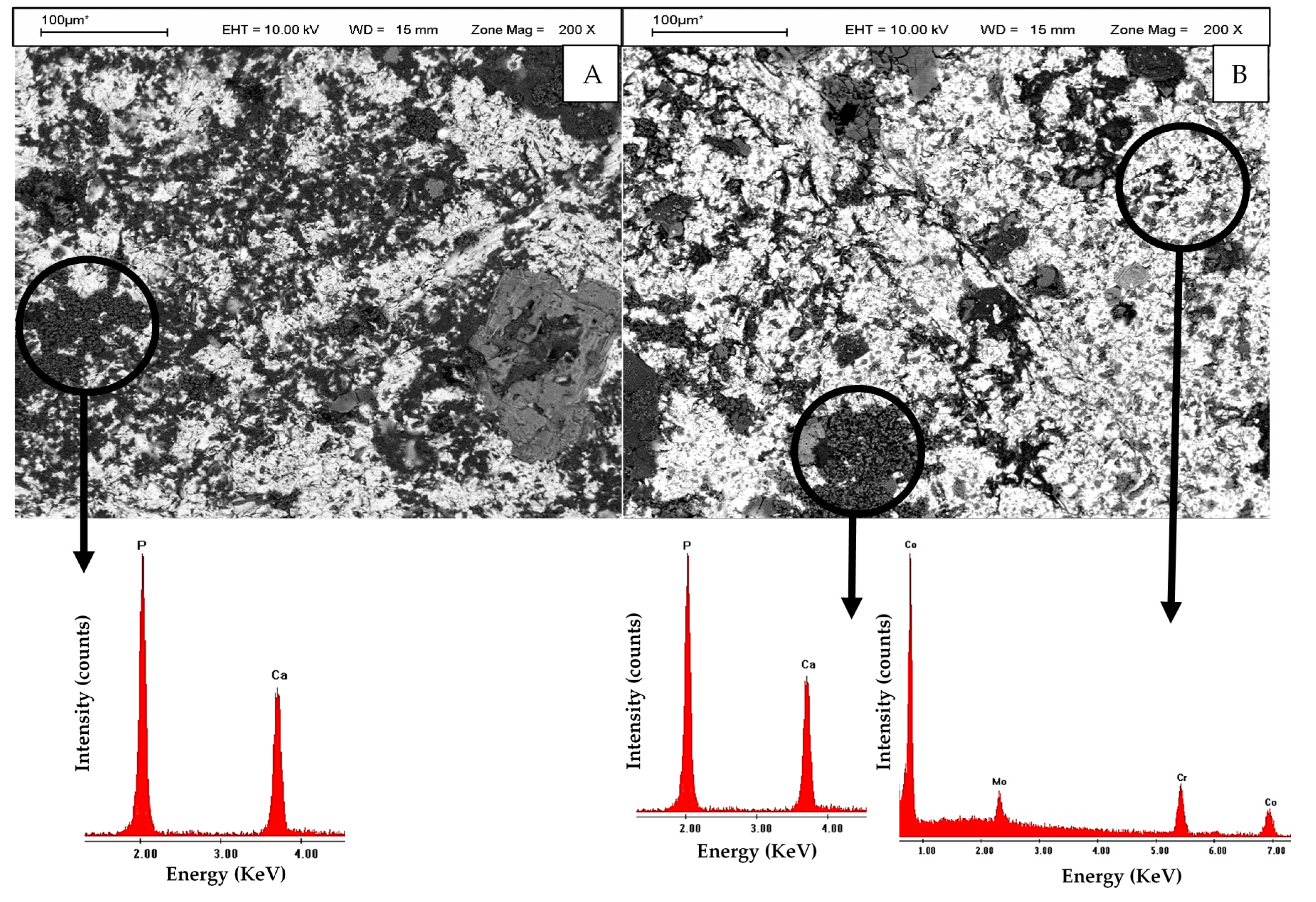 Materials 10 00825 g004