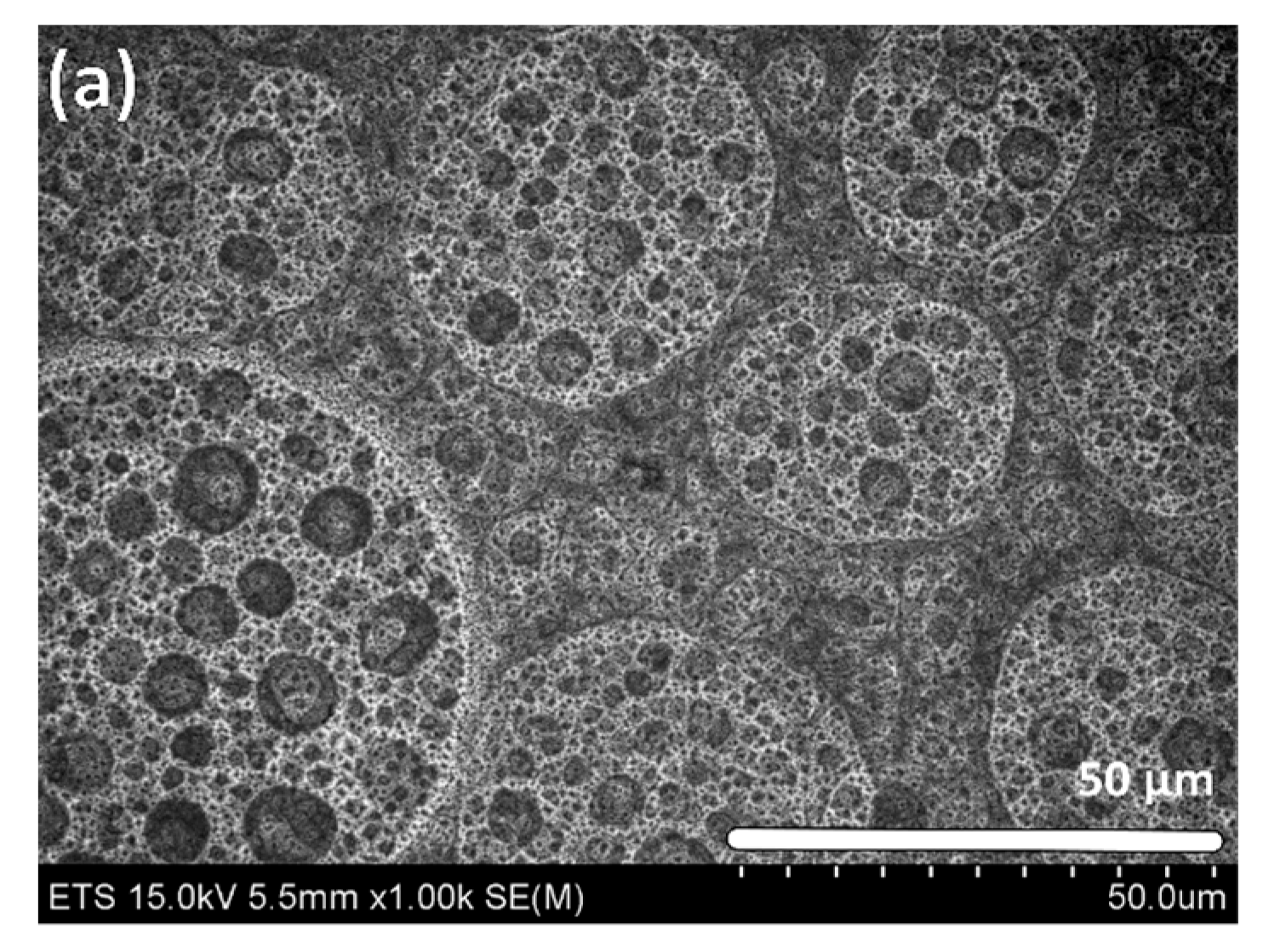 Materials 10 00854 g003a