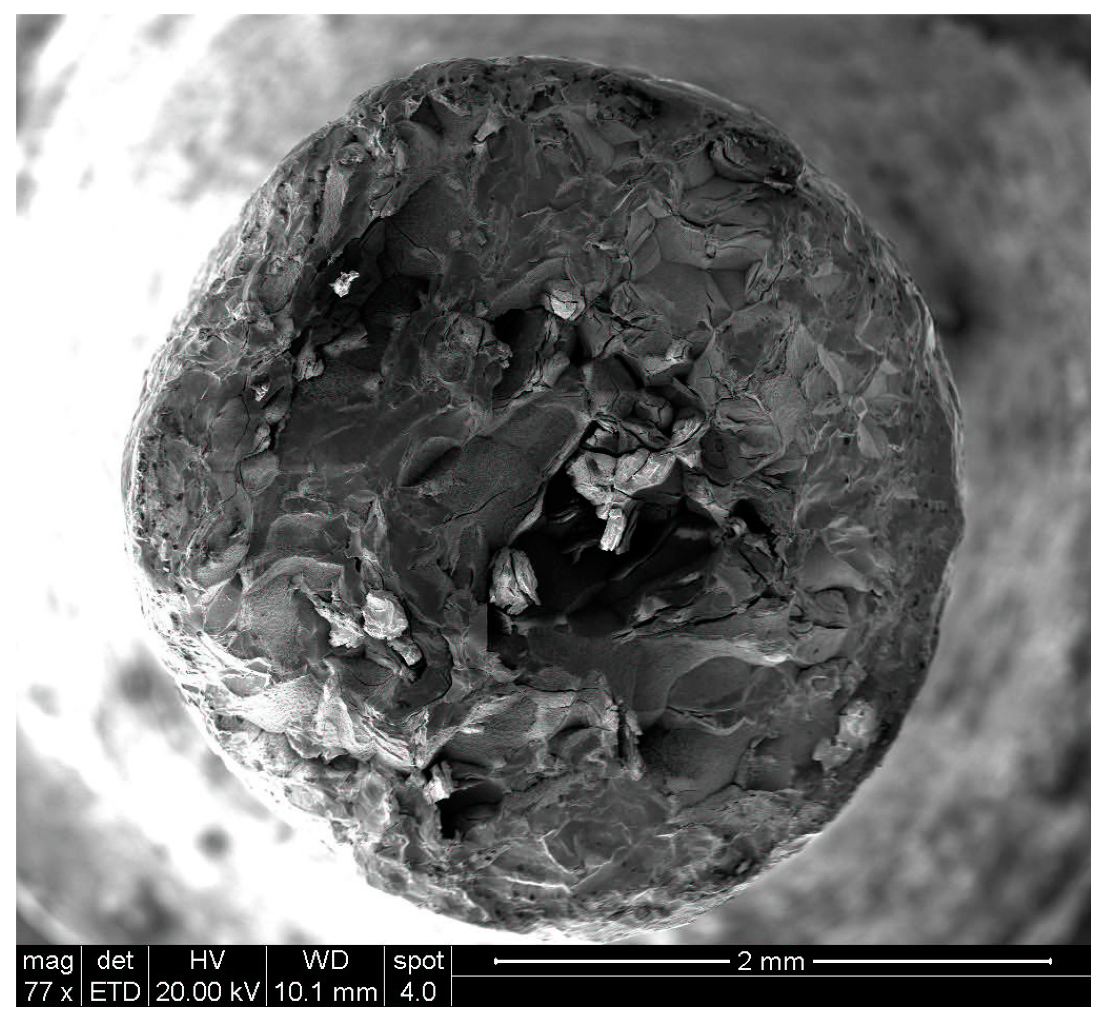 Materials 10 00883 g005